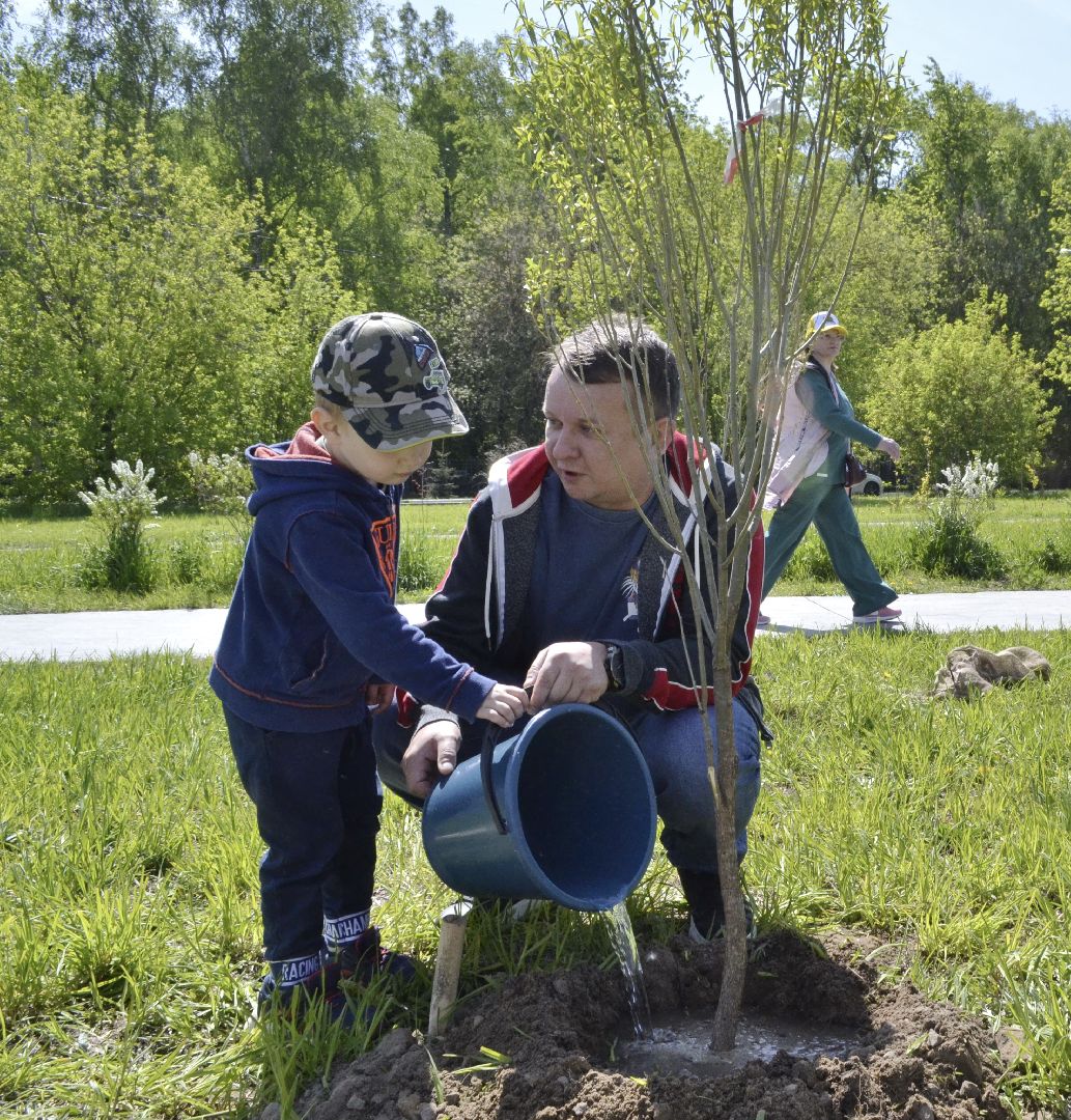 Балашиха, Подмосковье, акции, Лес Победы