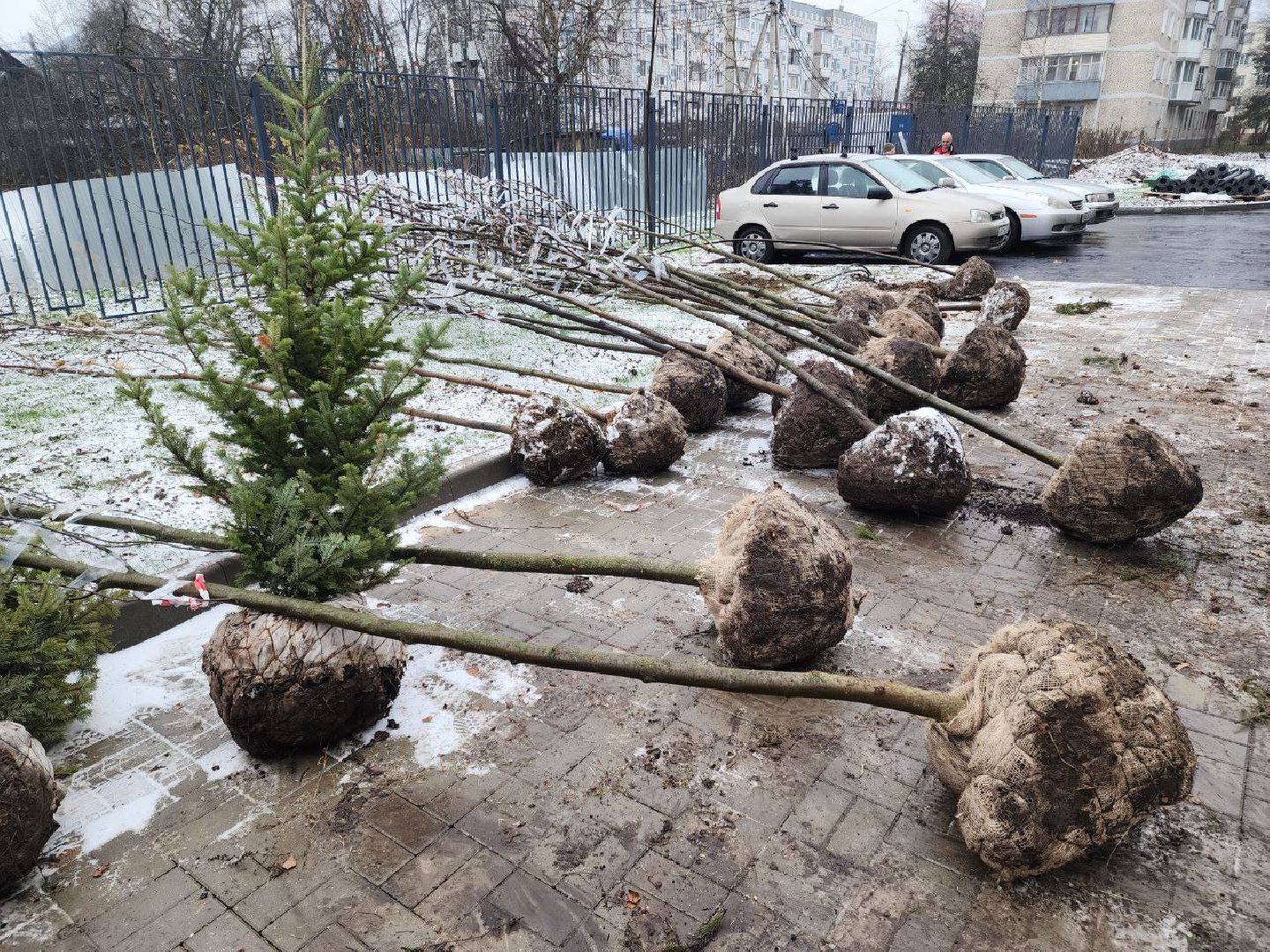 солнечногооск,  строительство, детский  сад,