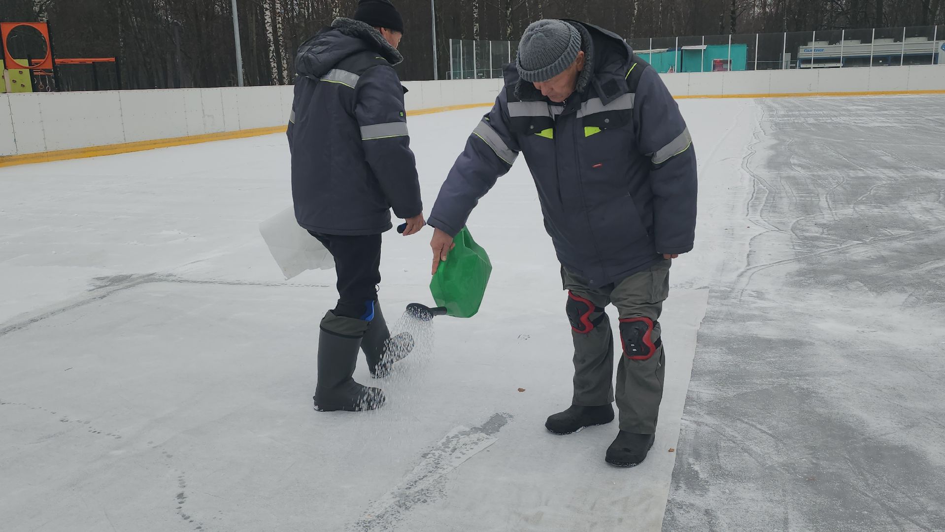 люберцы, наташинский парк, установка елки, заливка катка,