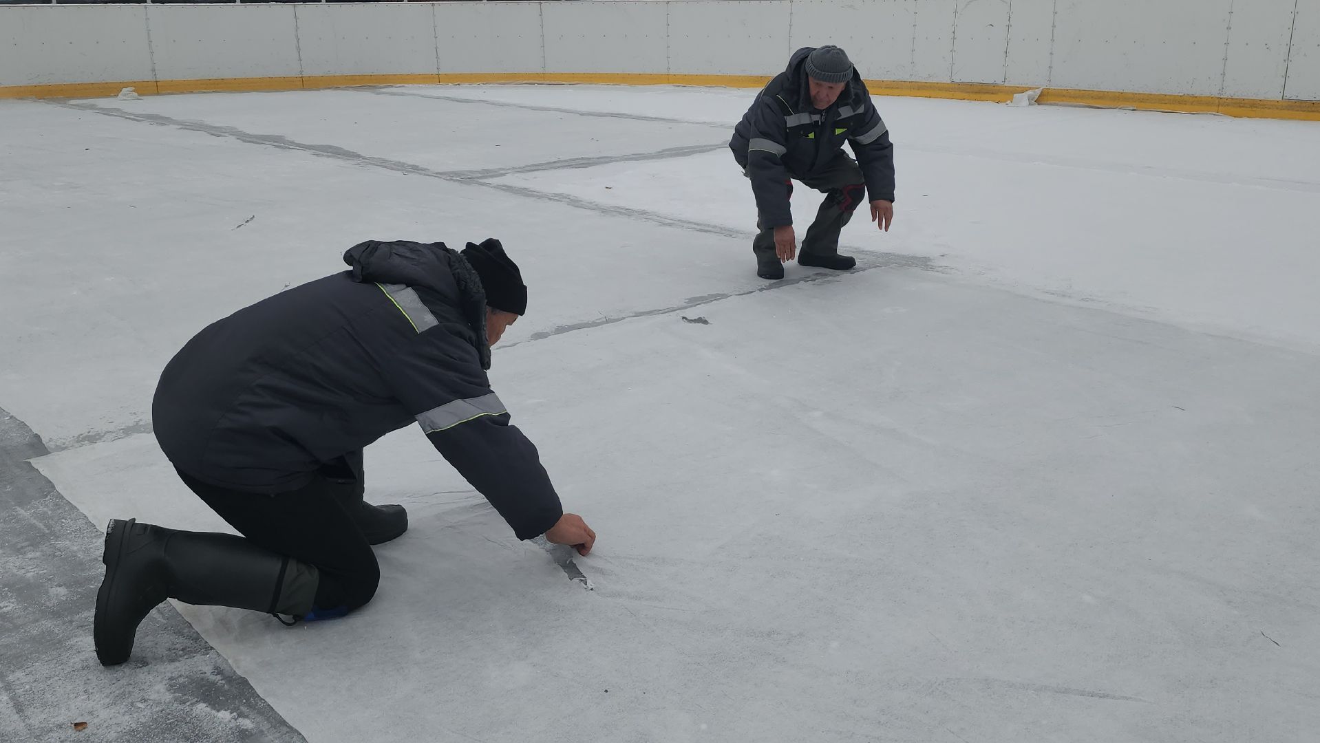 люберцы, наташинский парк, установка елки, заливка катка,