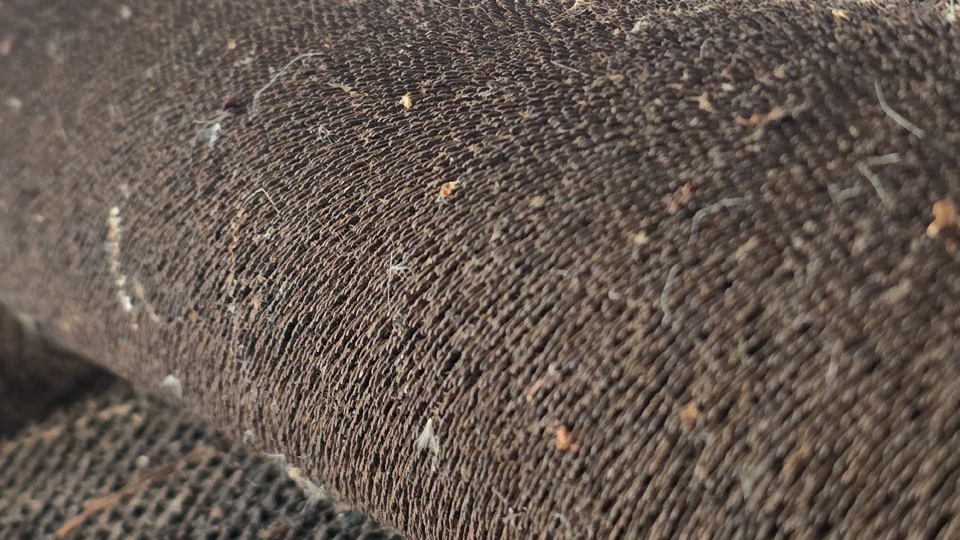 Коломна , музей,