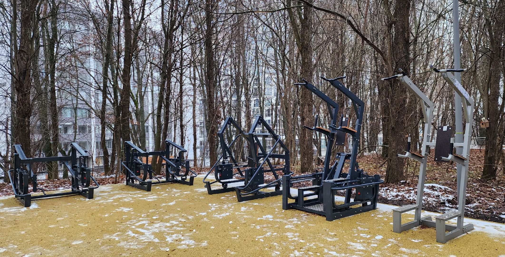 Химки , Благоустройство , Парки,