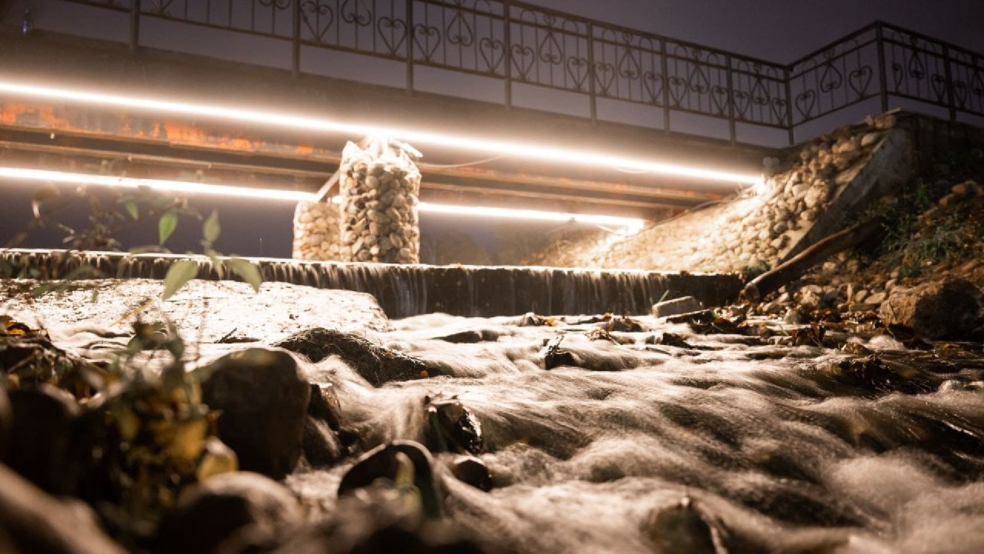 люберцы, малаховское озеро, подготовка к зиме,