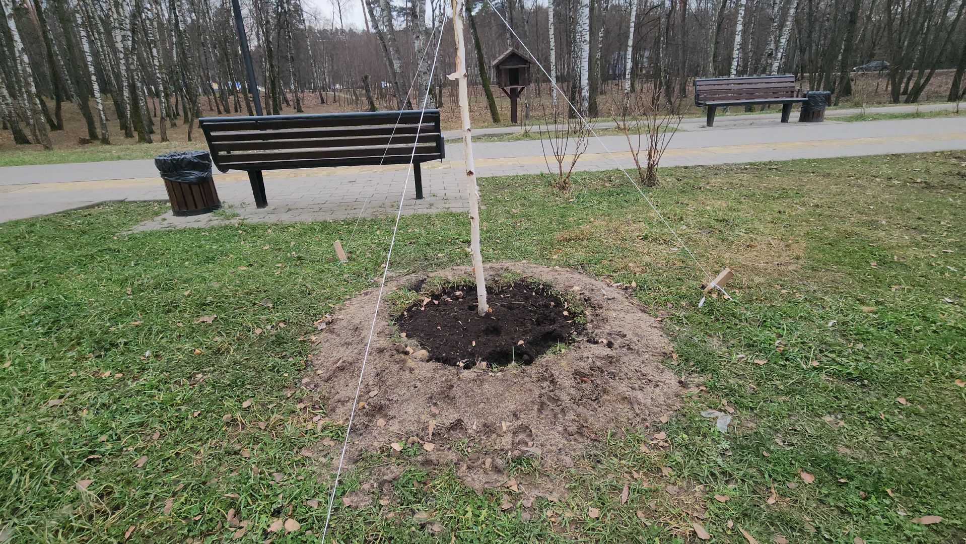 люберцы, малаховское озеро, подготовка к зиме,
