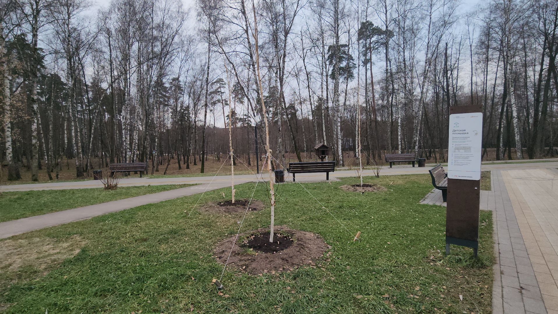 люберцы, малаховское озеро, подготовка к зиме,