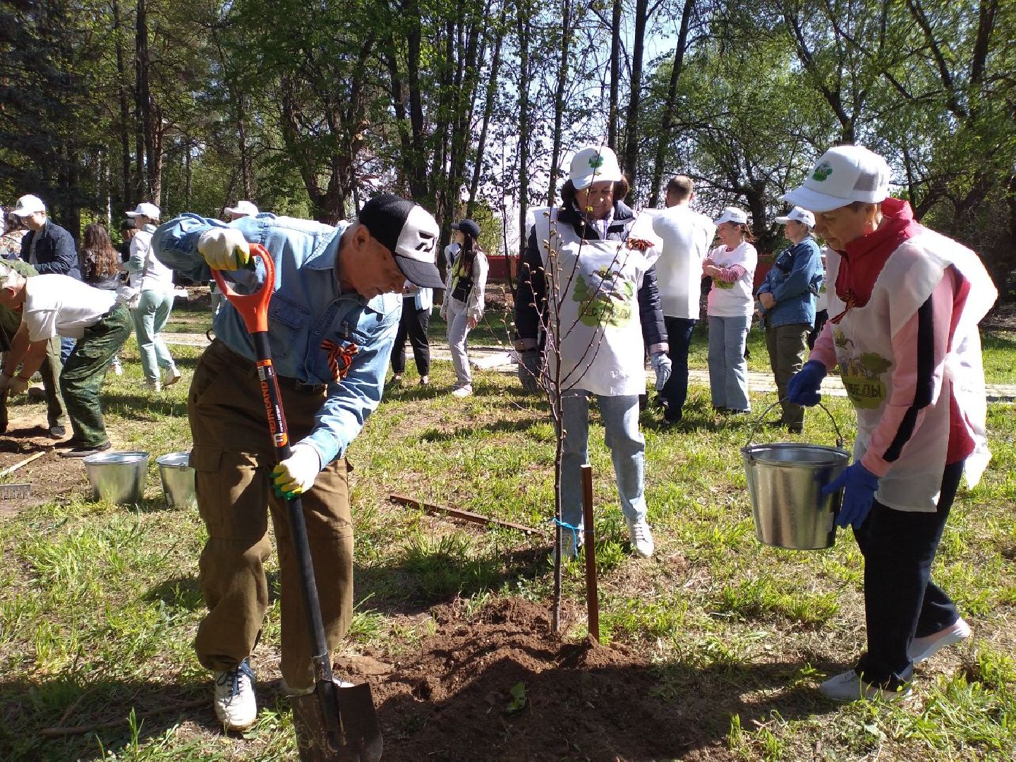 акция, Лес Победы, памятник, память, люди, Лосино-Петровский,