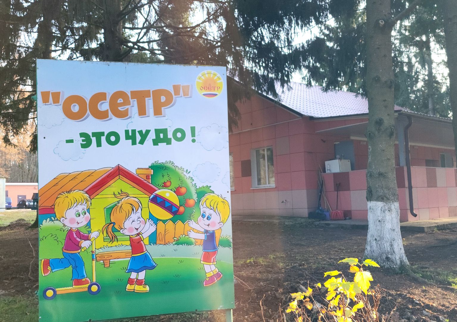 зарайск, детский отдых,  дол осетр,