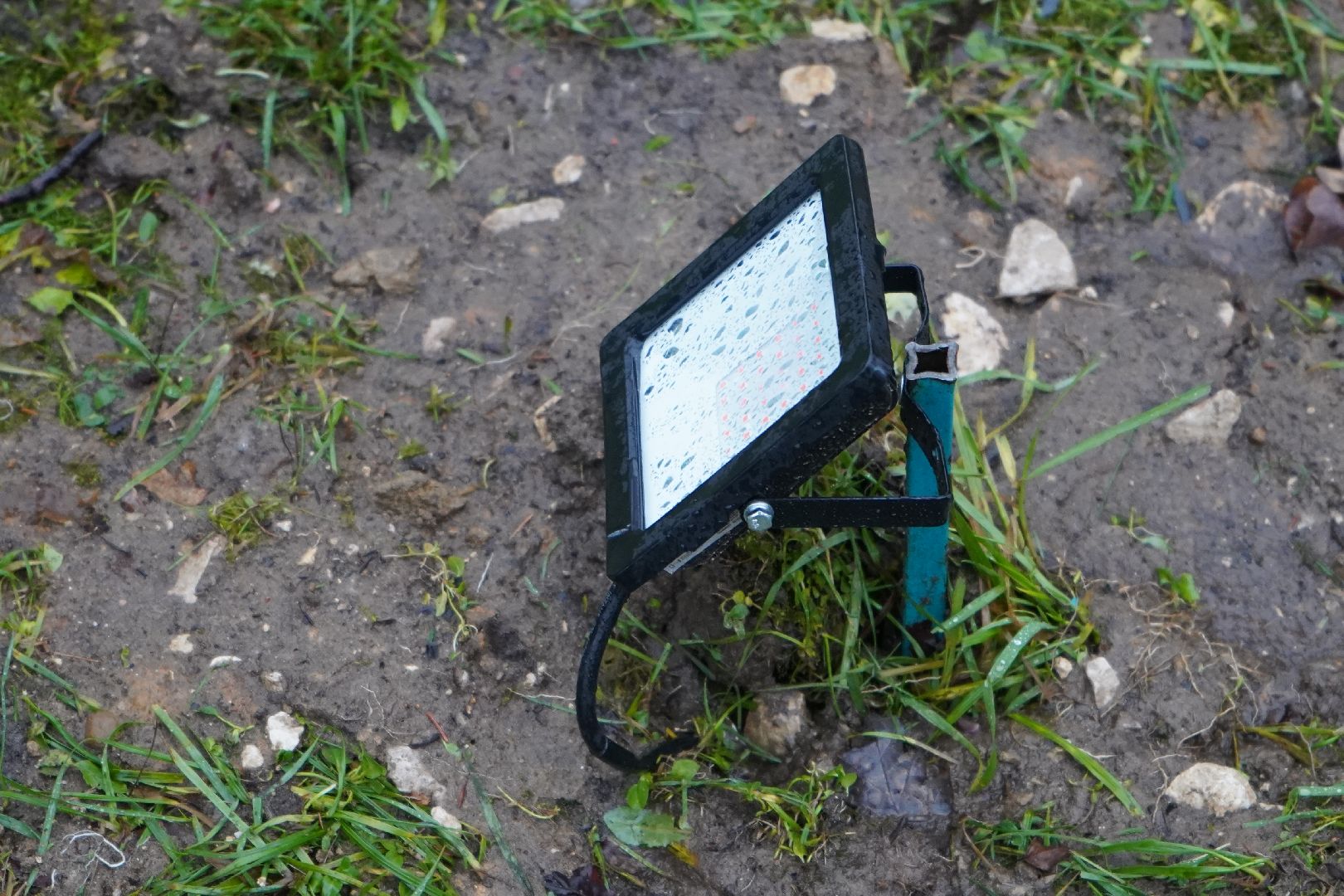 ступино, парк островского, новый год, ёлка,