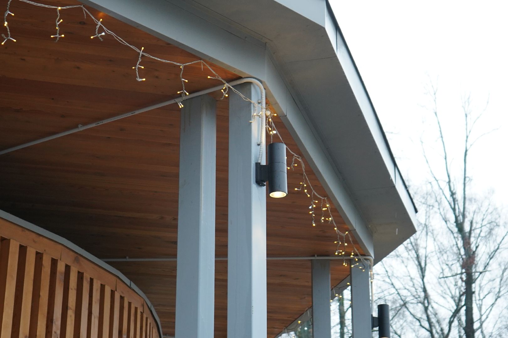 ступино, парк островского, новый год, ёлка,