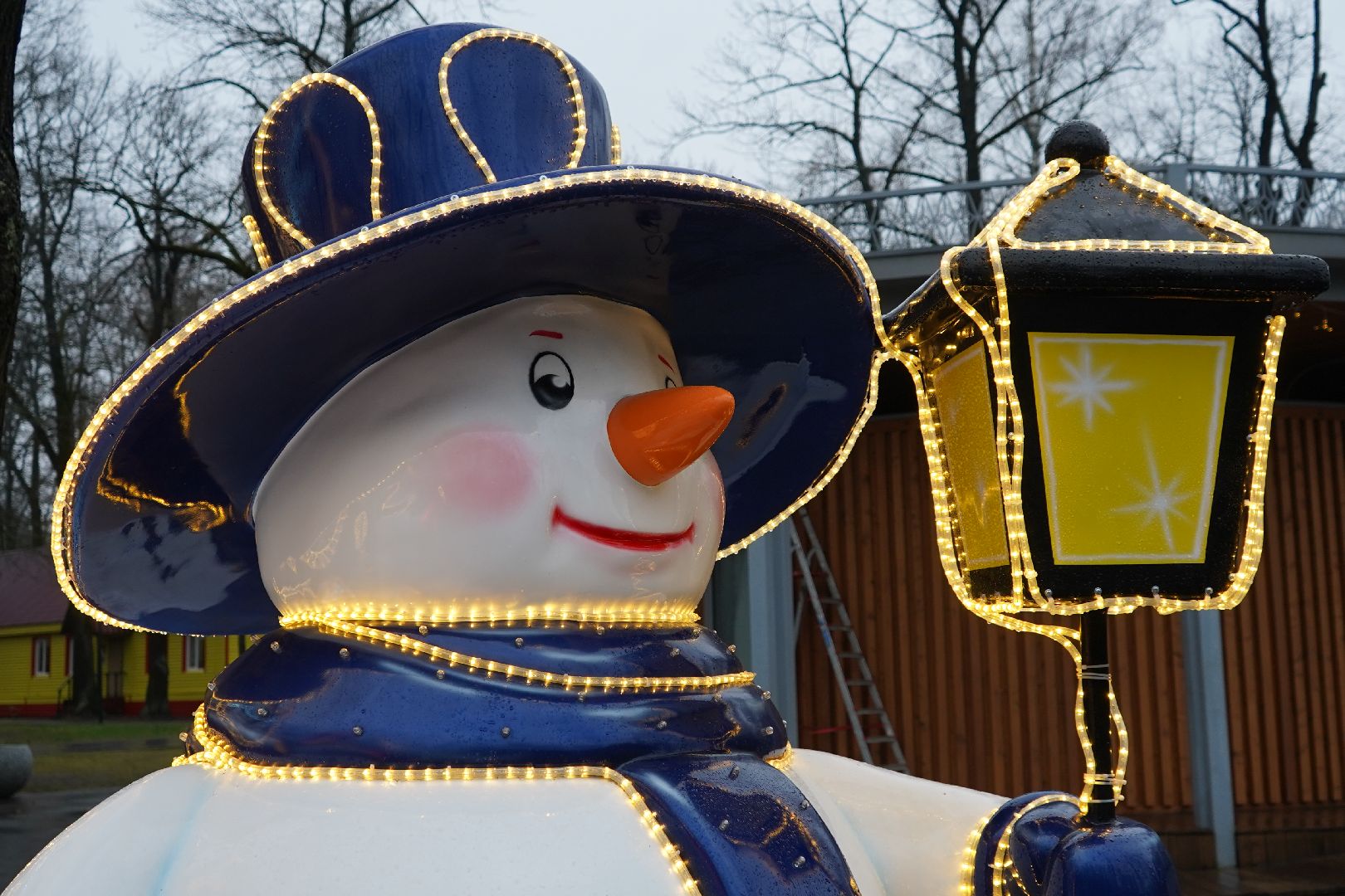 ступино, парк островского, новый год, ёлка,