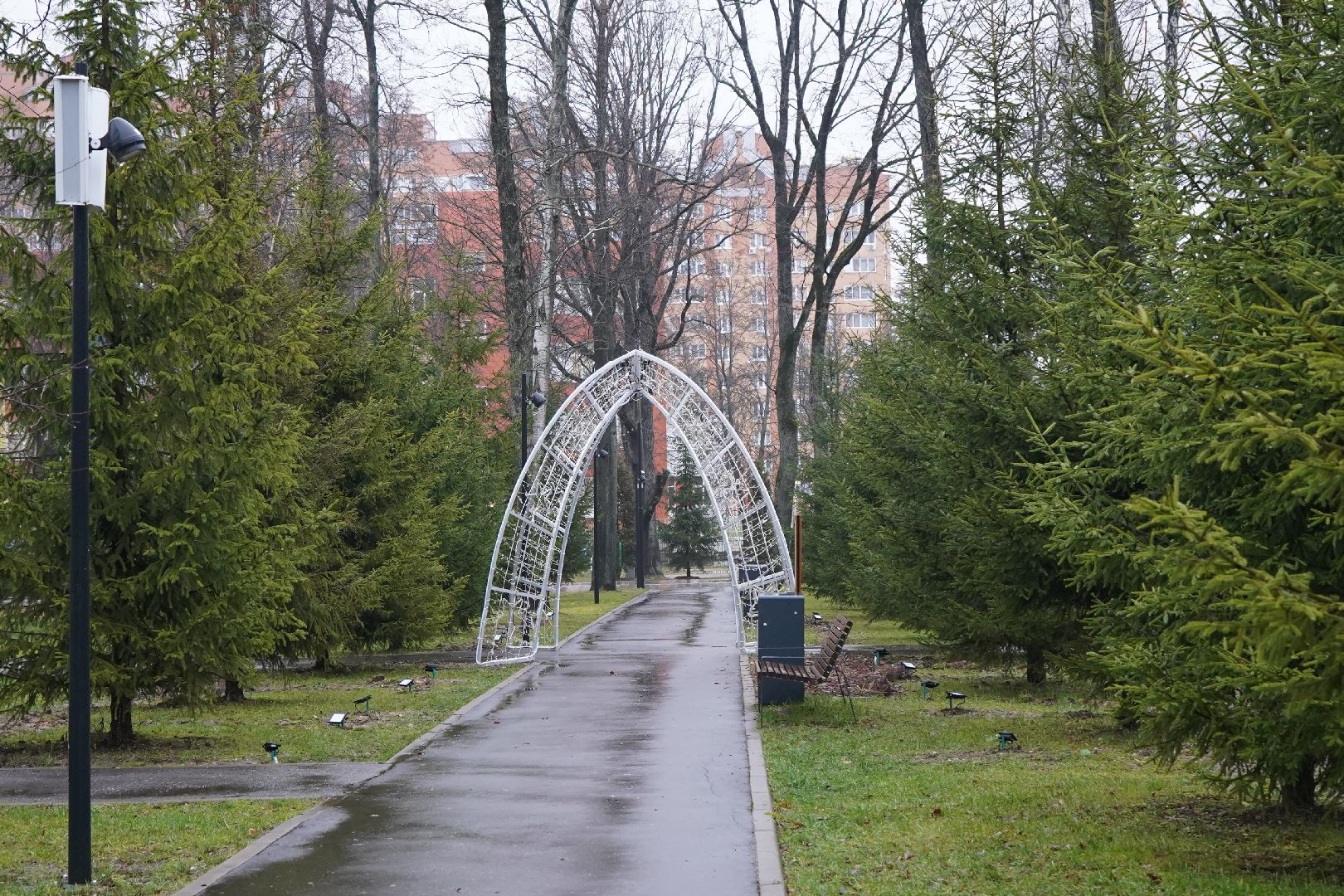 ступино, парк островского, новый год, ёлка,