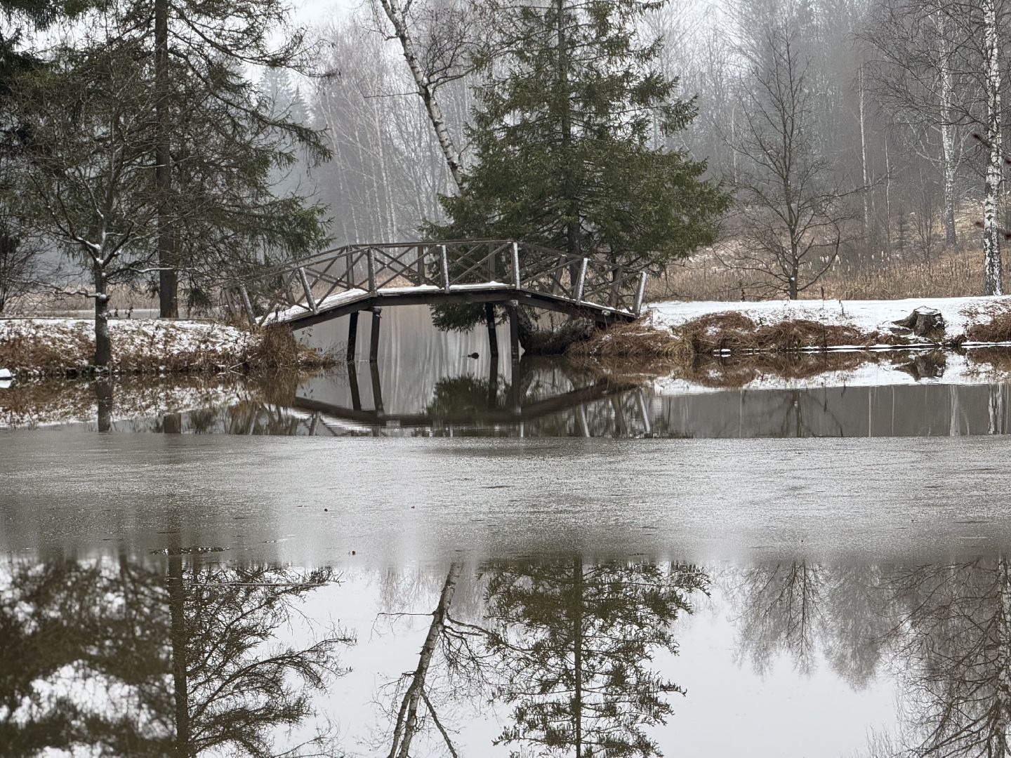 сергиево-посадский городской окру, Абрамцево ,Нижний пруд,