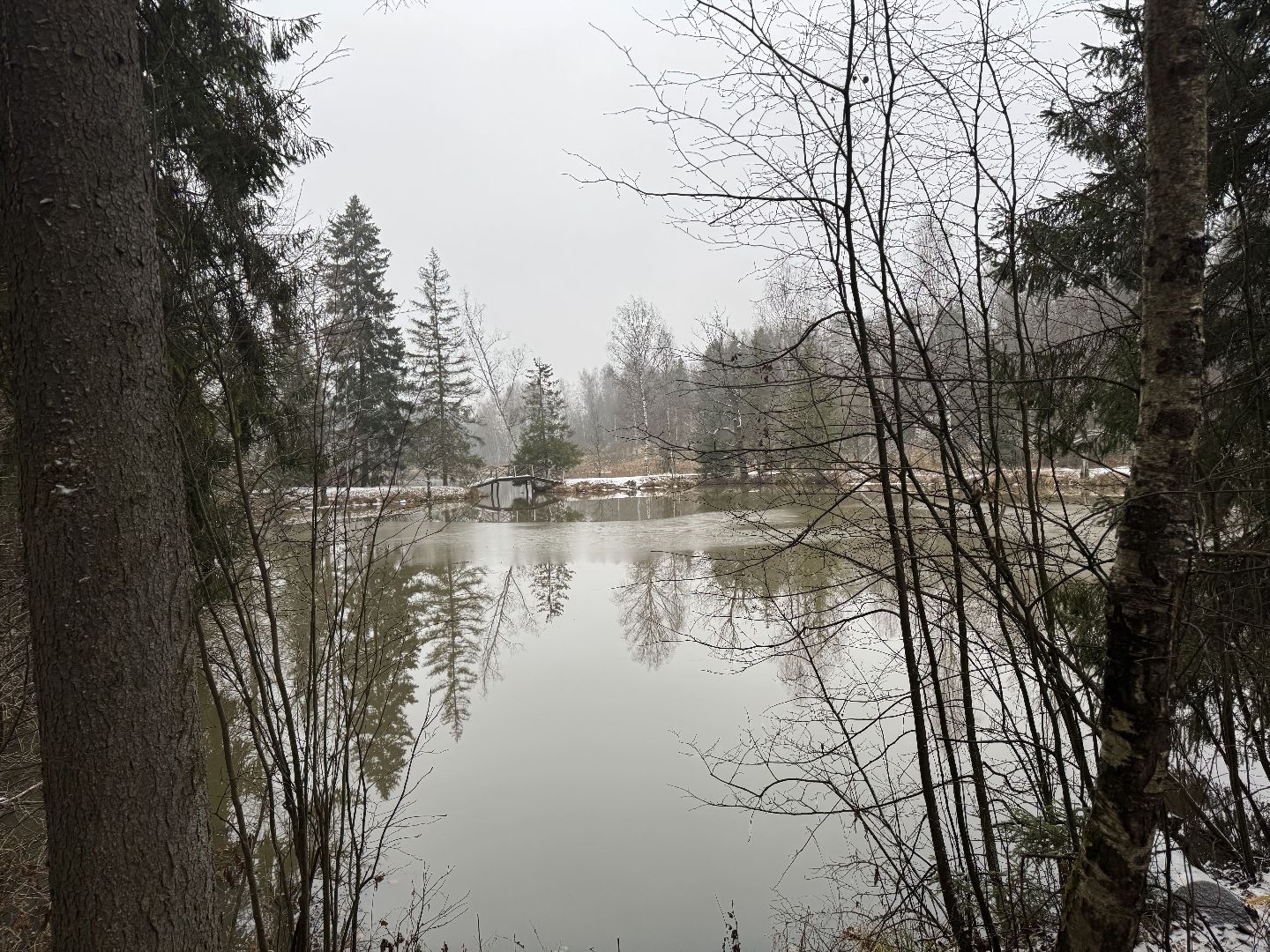 сергиево-посадский городской окру, Абрамцево ,Нижний пруд,