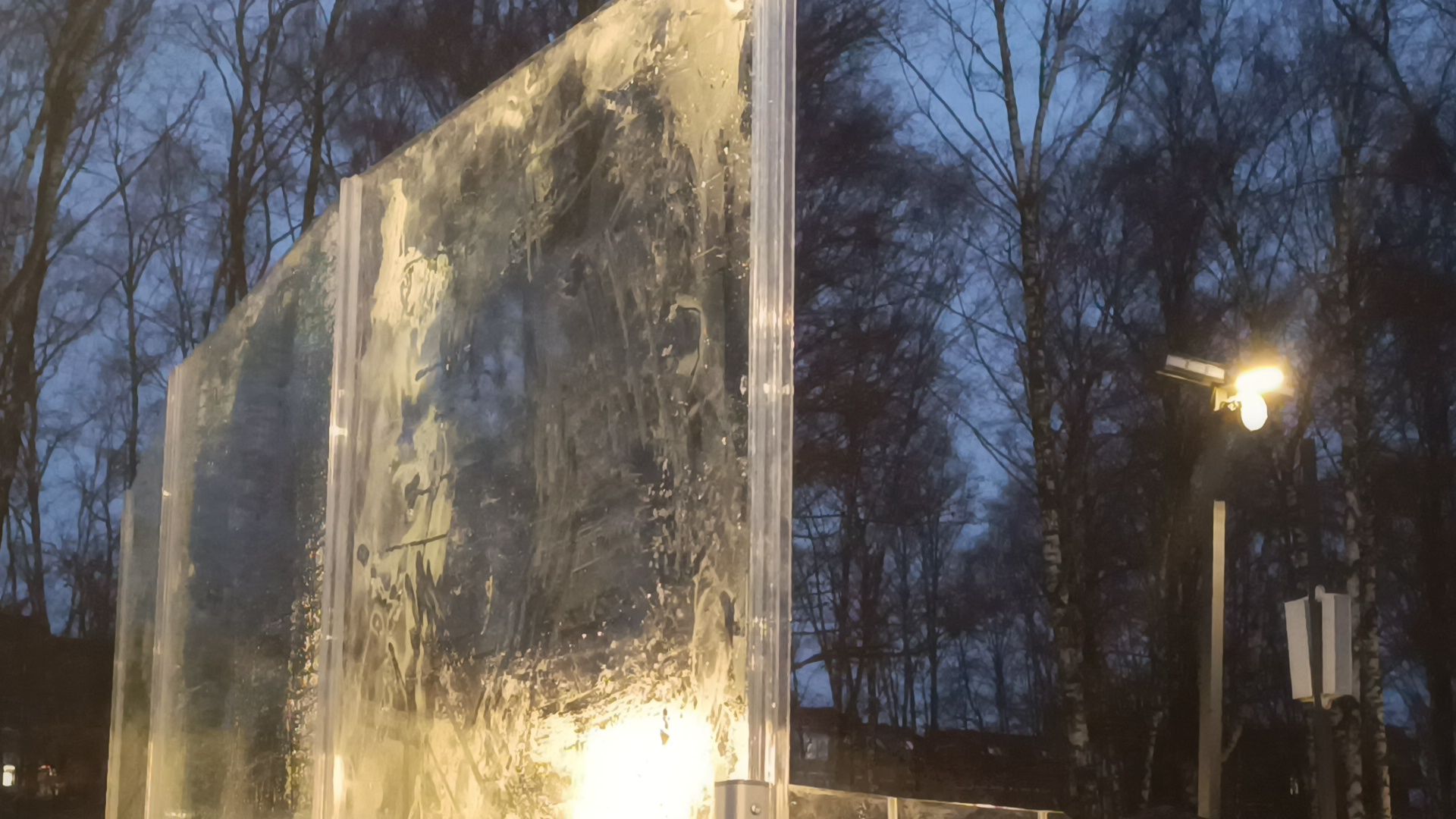 парк, каток, лобня, зима в подмомсковье,