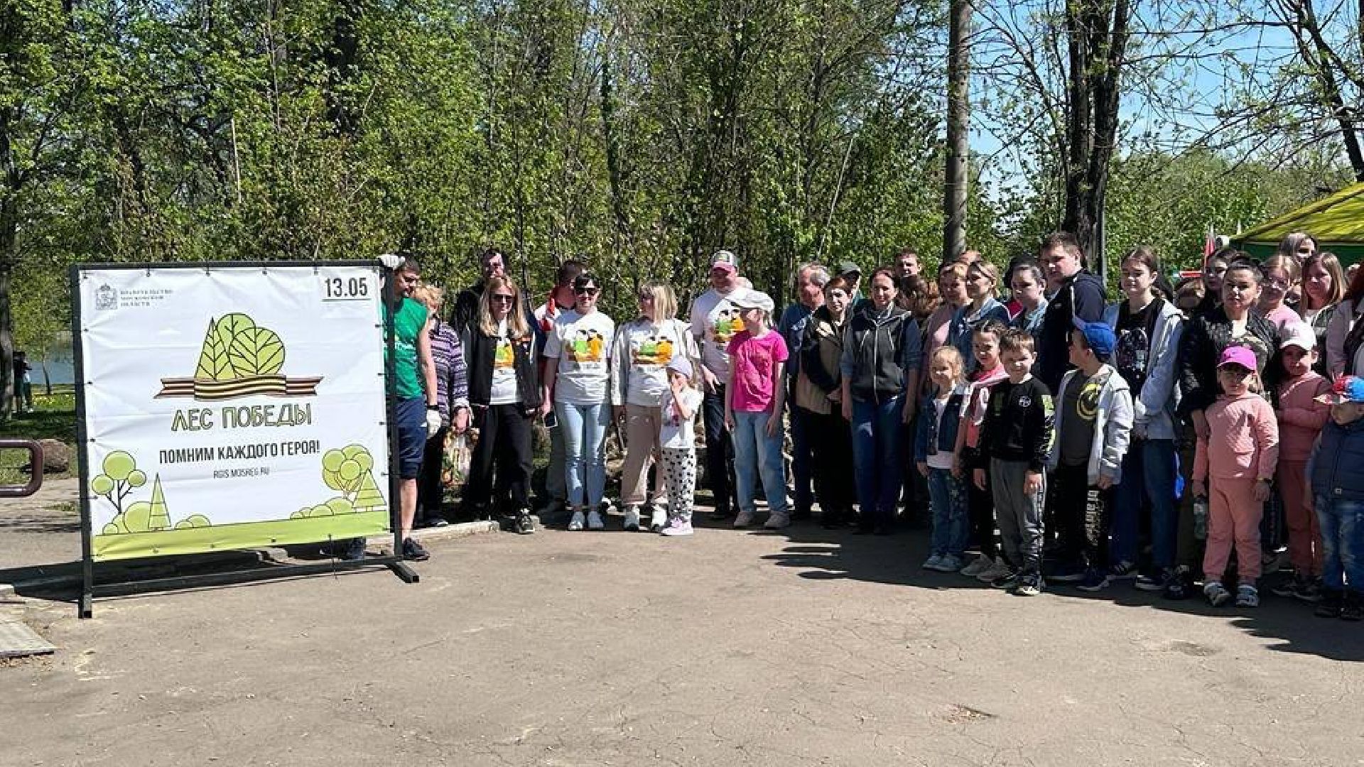 Подольск, деревья