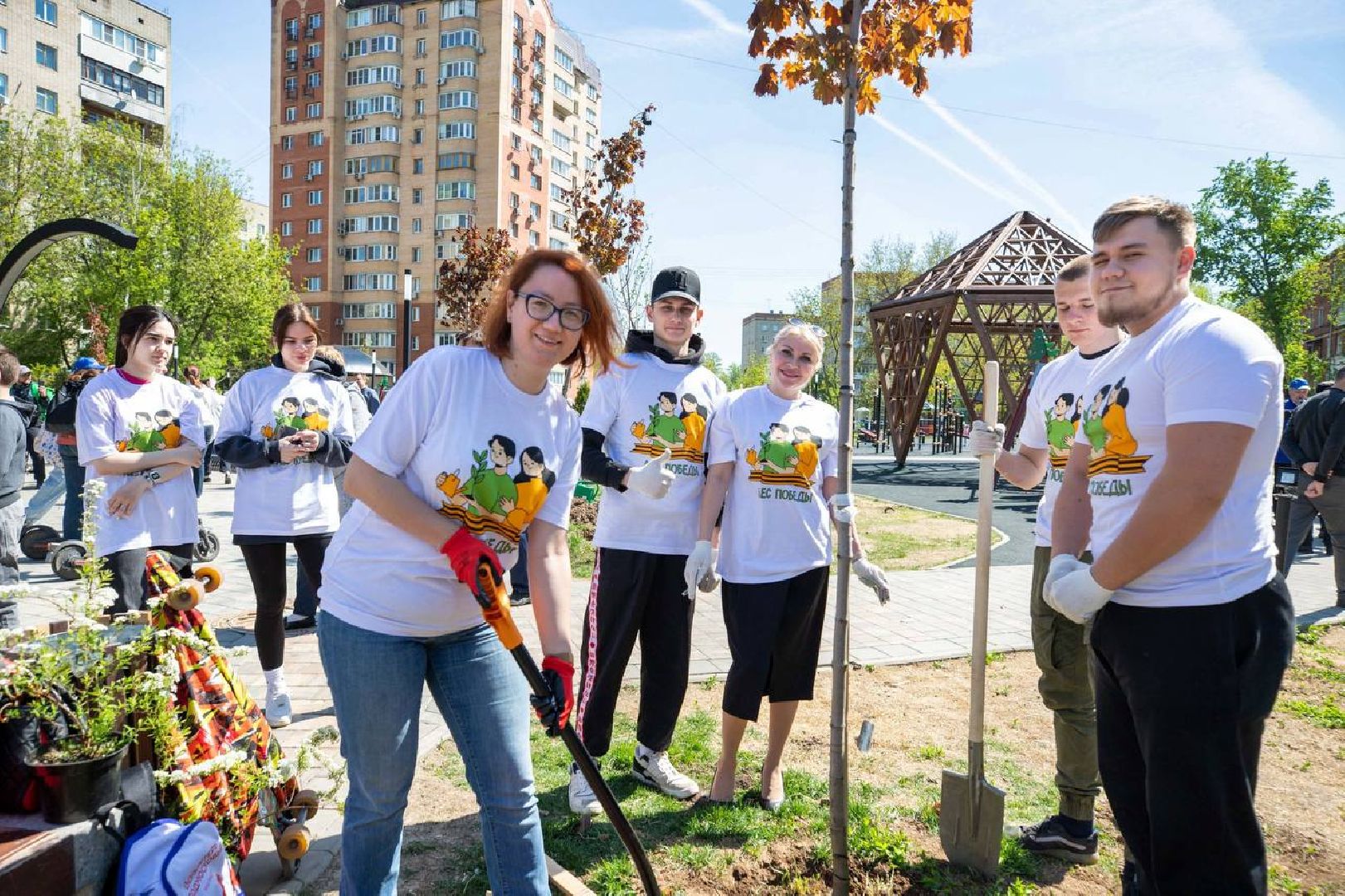 Подольск, деревья