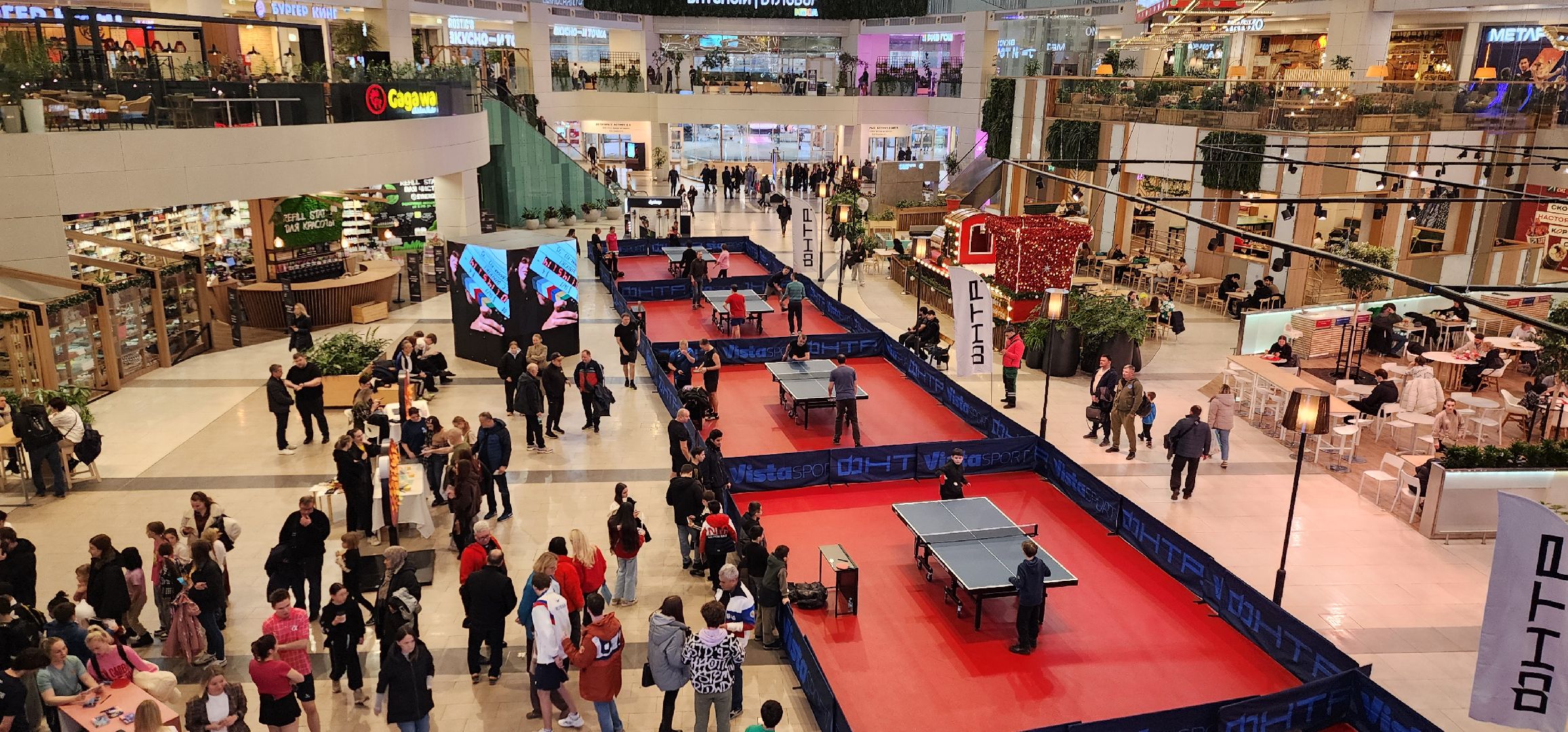 Химки, спорт, настольный теннис,