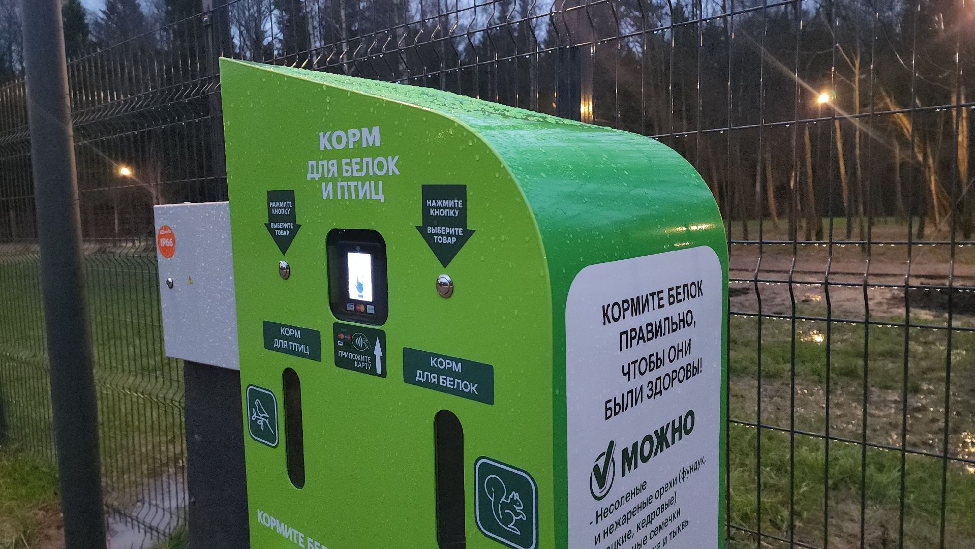 мытищи, императорские мытищи, дорога в лавру,