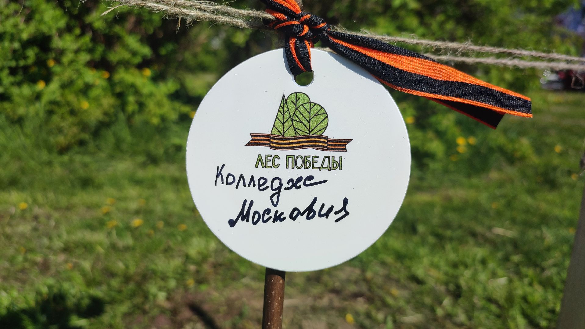 Кашира, лес победы, день победы, акция, экология, волонтеры