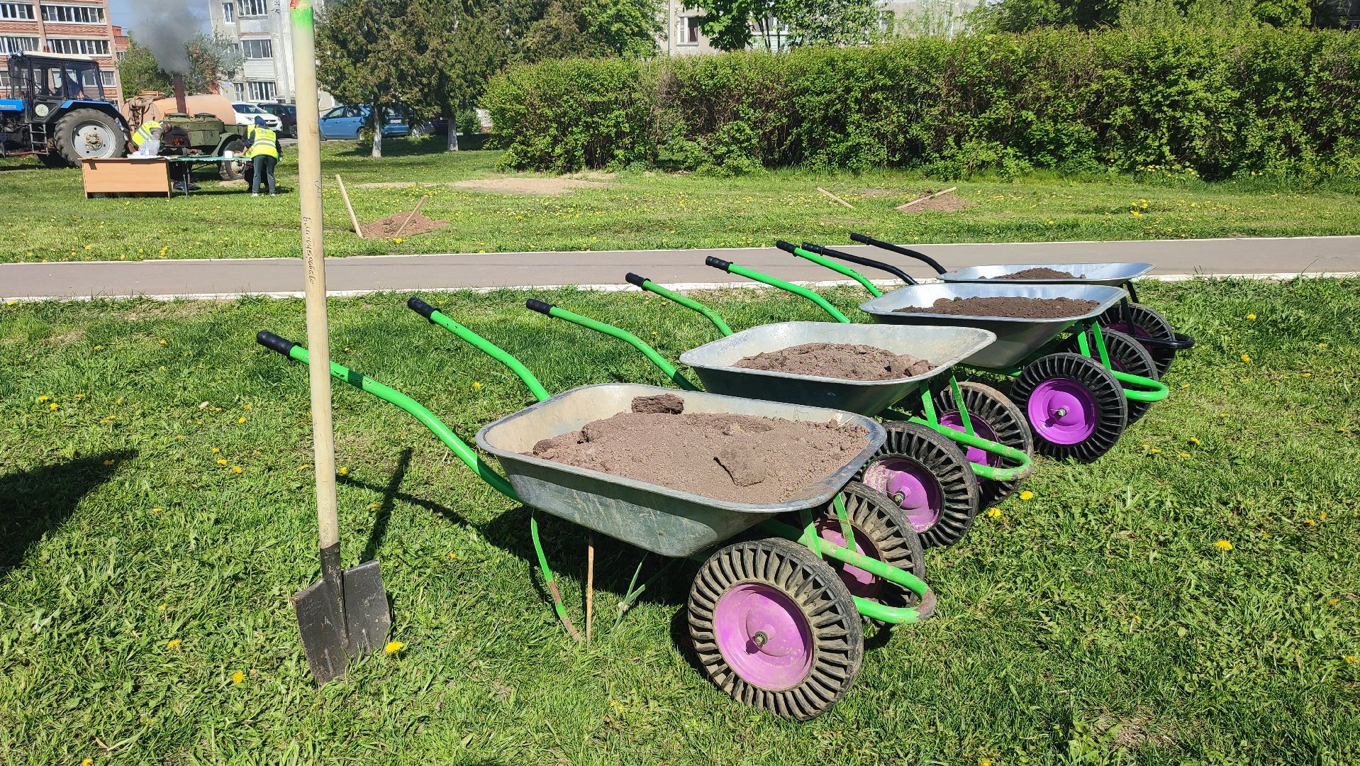 Кашира, лес победы, день победы, акция, экология, волонтеры