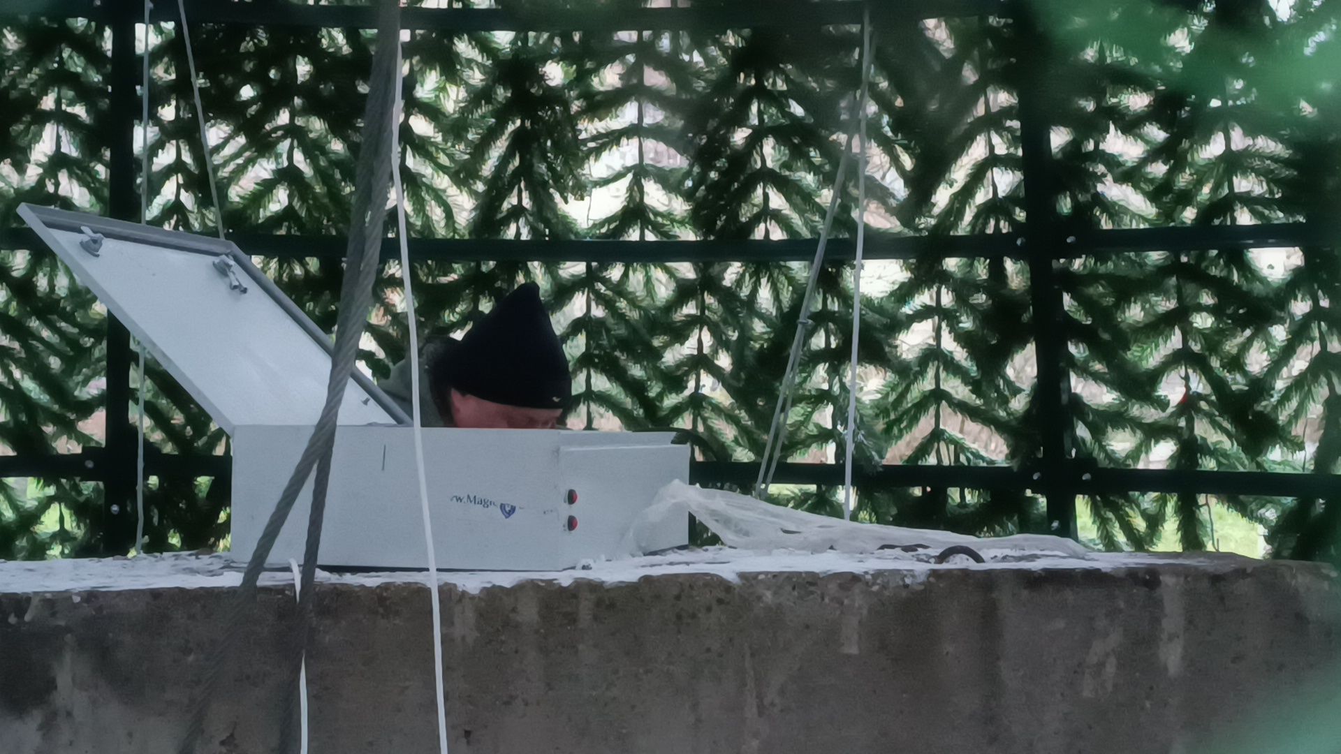 парк, лобня, новый год,