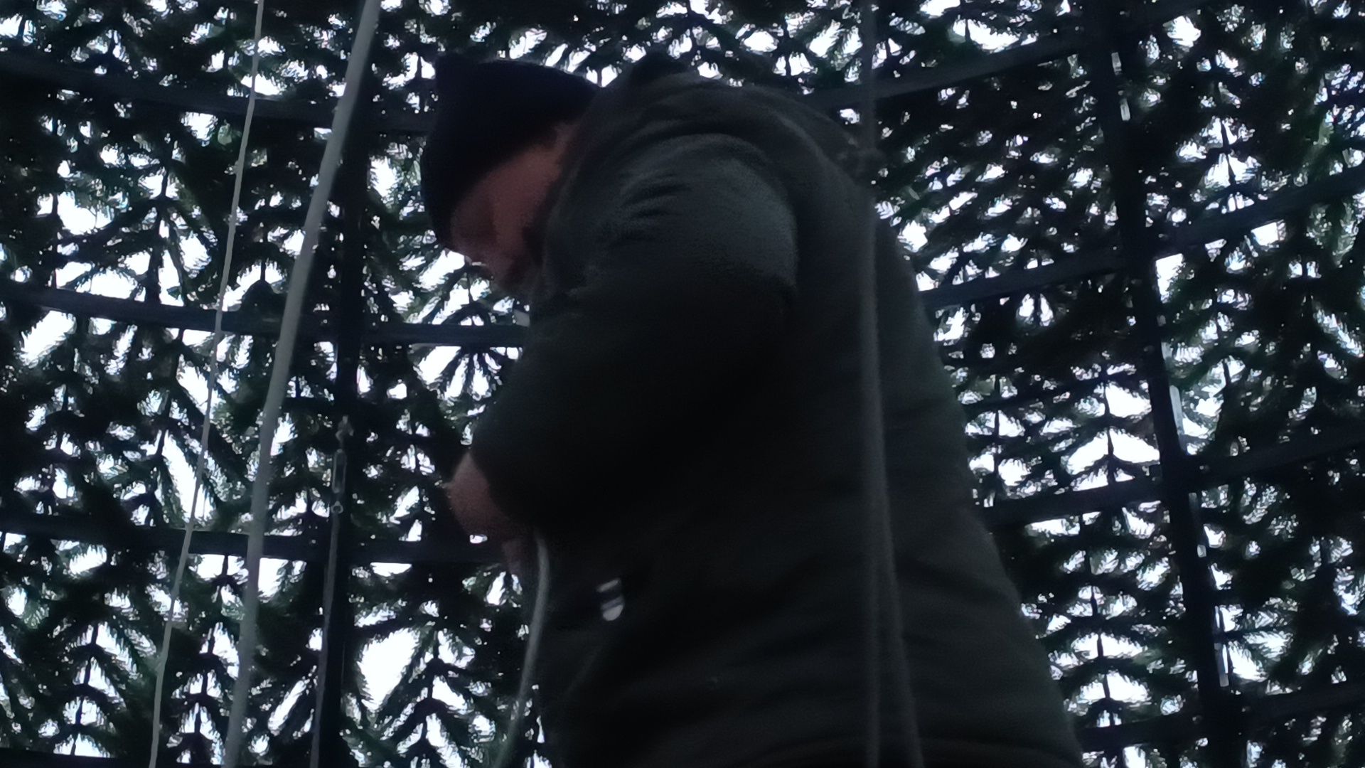 парк, лобня, новый год,