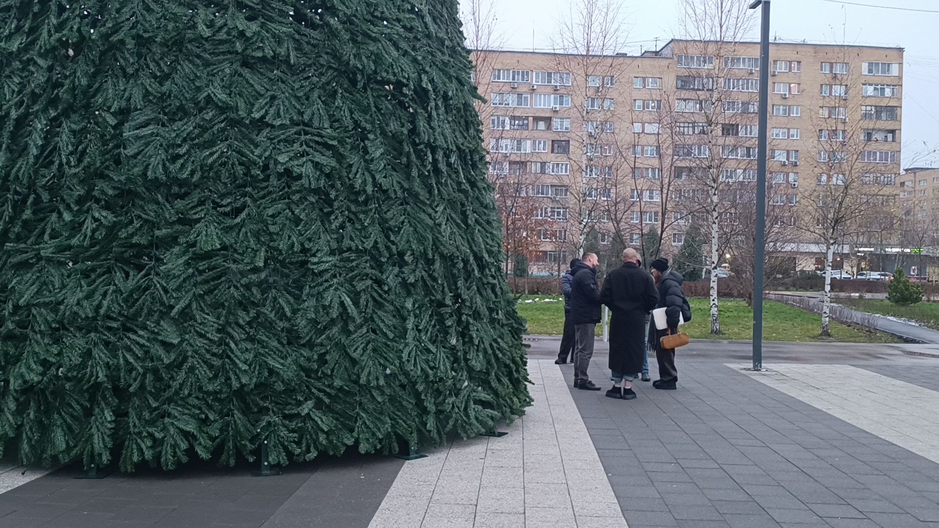 парк, лобня, новый год,