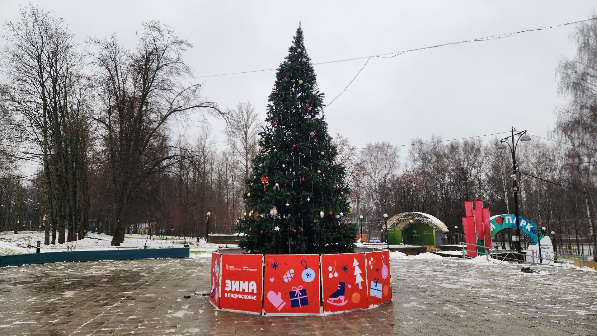 клин, сестрорецкий парк, новый год, елка, зима в подмосковье,