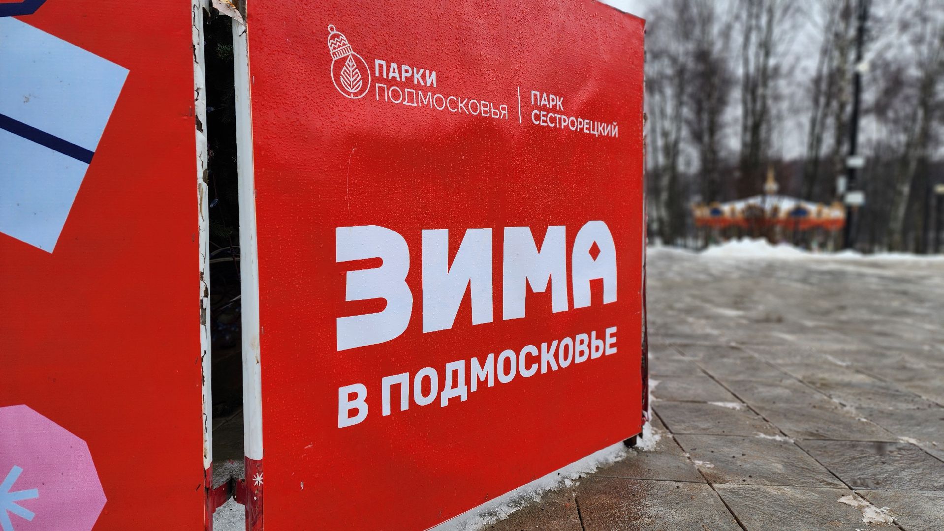 клин, сестрорецкий парк, новый год, елка, зима в подмосковье,