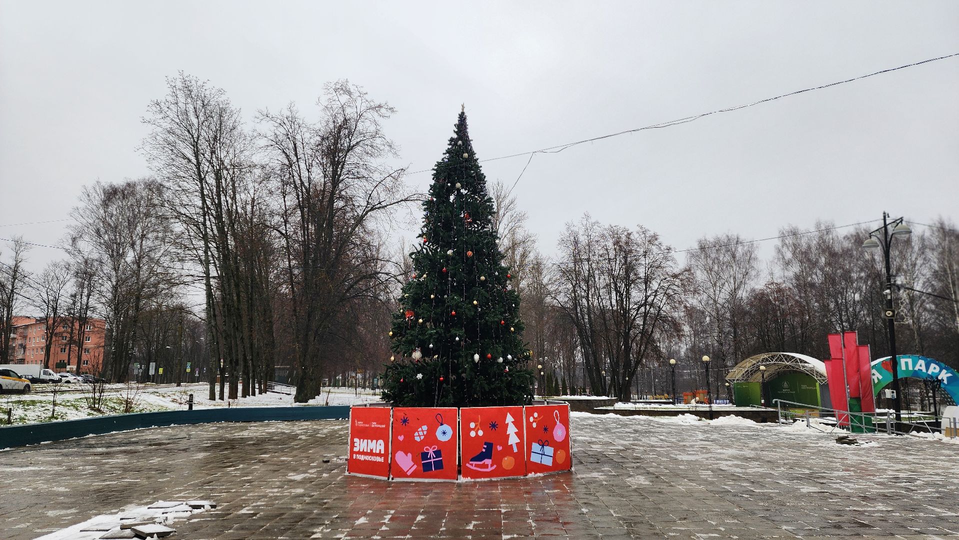 клин, сестрорецкий парк, новый год, елка, зима в подмосковье,