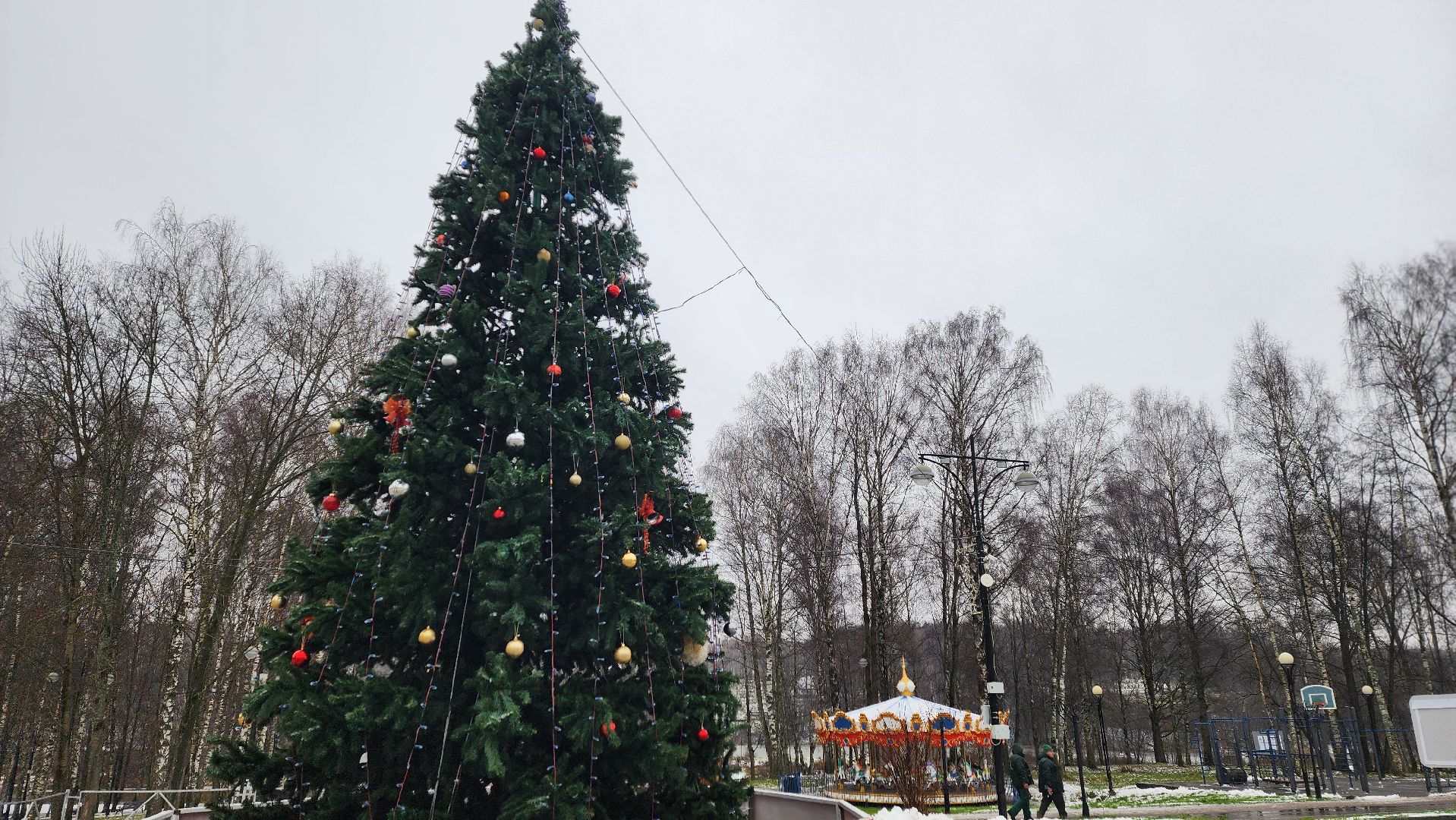 клин, сестрорецкий парк, новый год, елка, зима в подмосковье,