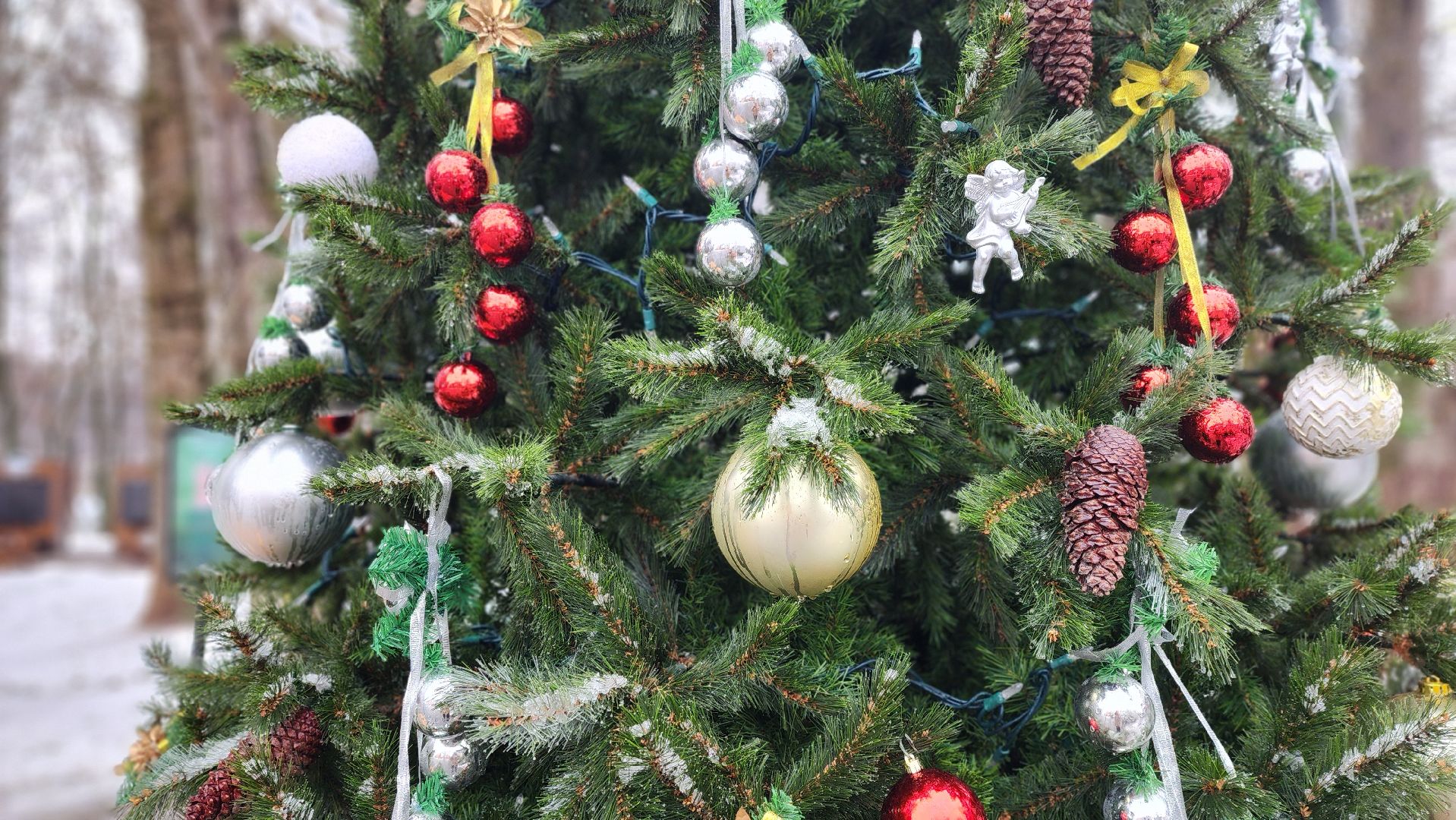 клин, сестрорецкий парк, новый год, елка, зима в подмосковье,