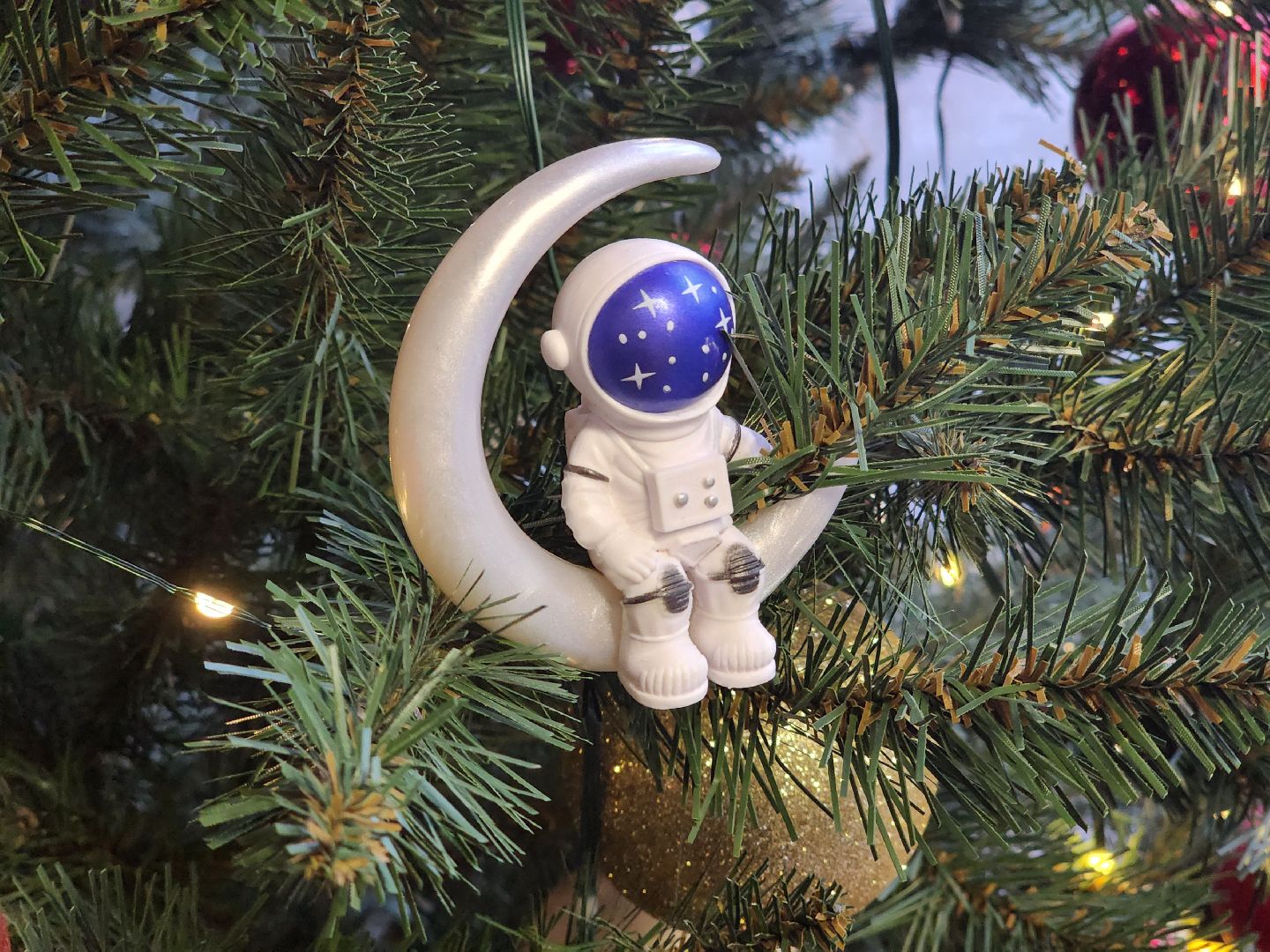 королёв, центральный городской парк в королеве , зима в подмосковье, парки в подмосковье , резиденция деда мороза в королеве,