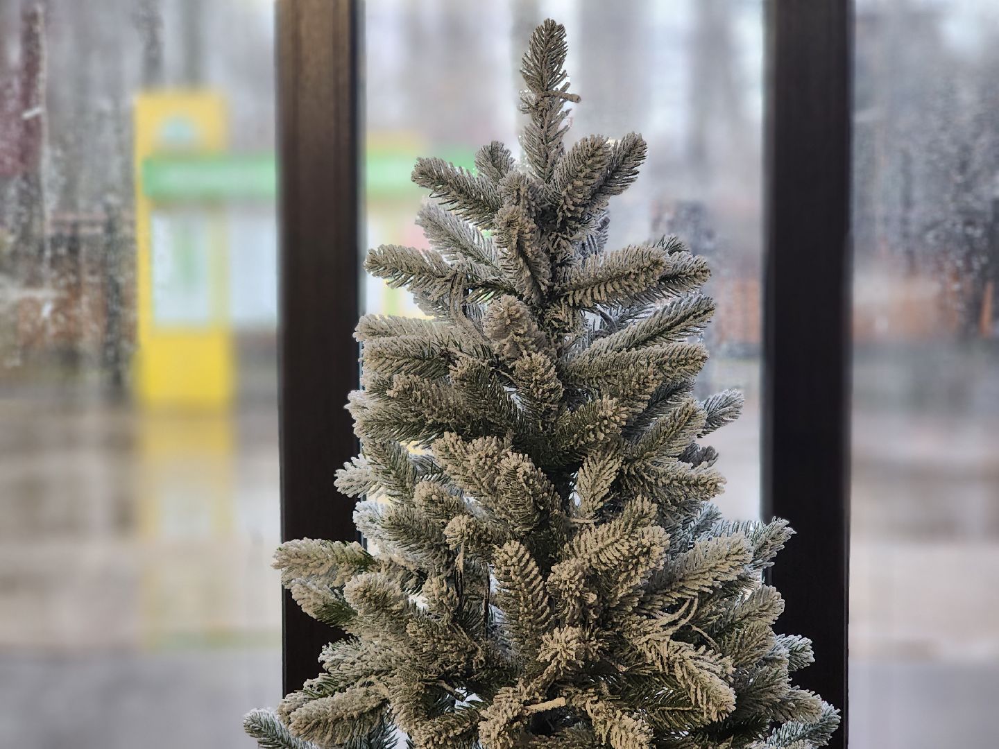 королёв, центральный городской парк в королеве , зима в подмосковье, парки в подмосковье , резиденция деда мороза в королеве,