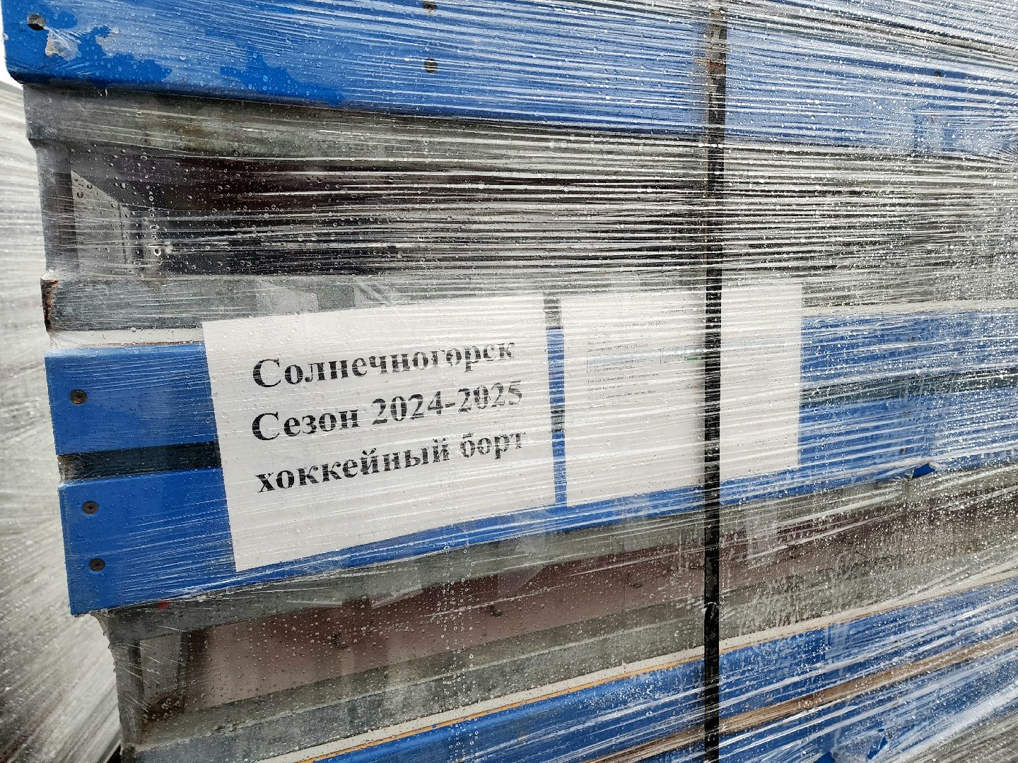 солнечногорск, каток, зима, жители , лед,