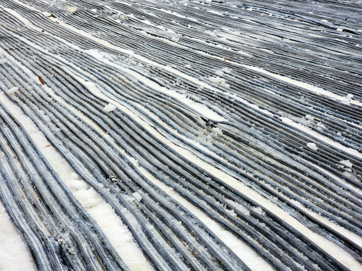 солнечногорск, каток, зима, жители , лед,