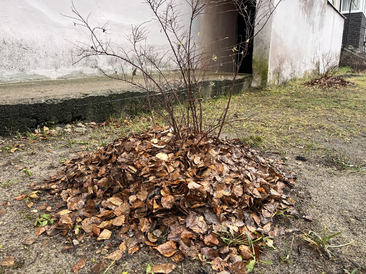 рошаль, рошаль благоустройство, Конкурс лучший двор,