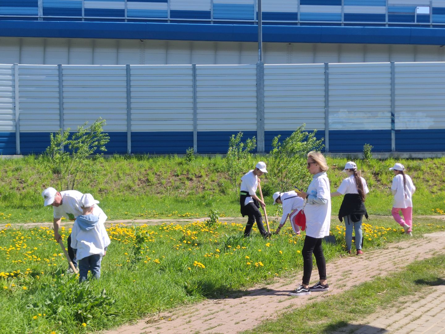 лес победы, акция, Дубна