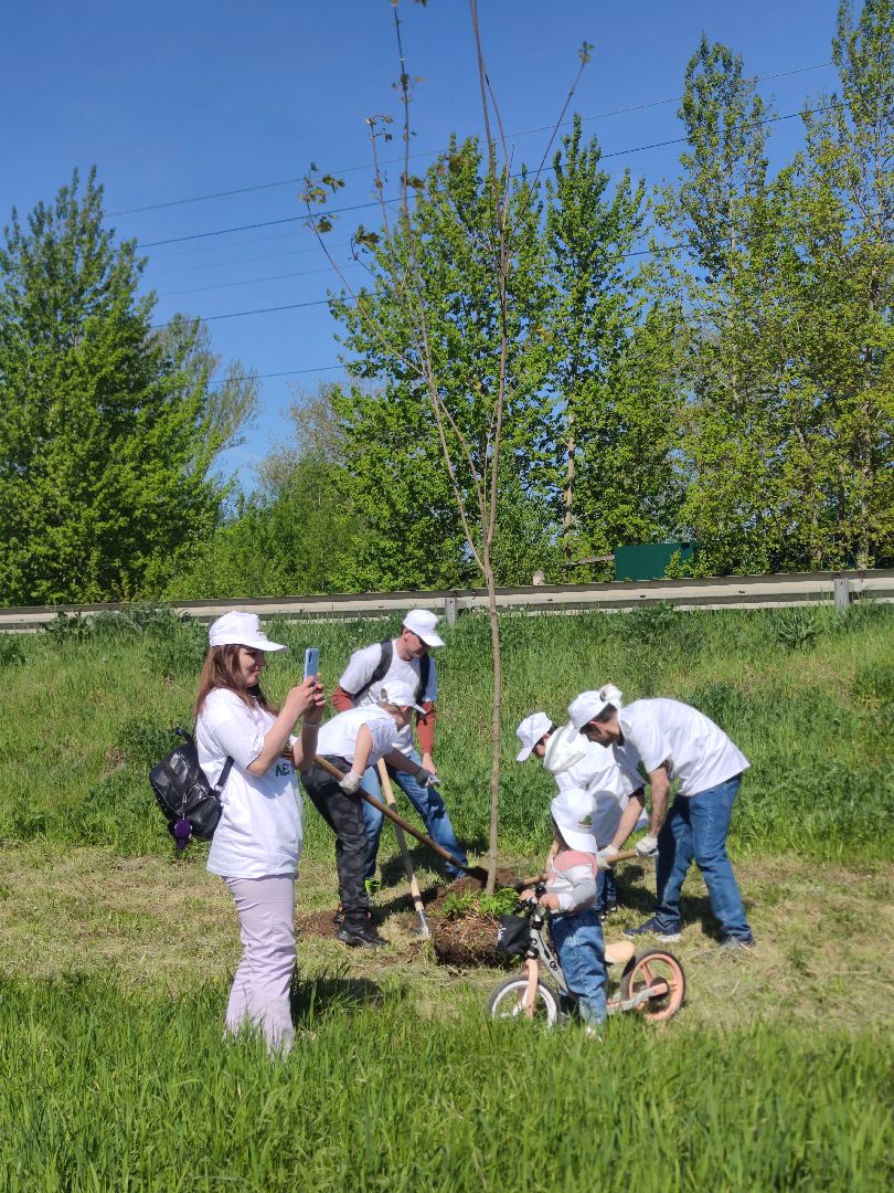 лес победы, акция, Дубна