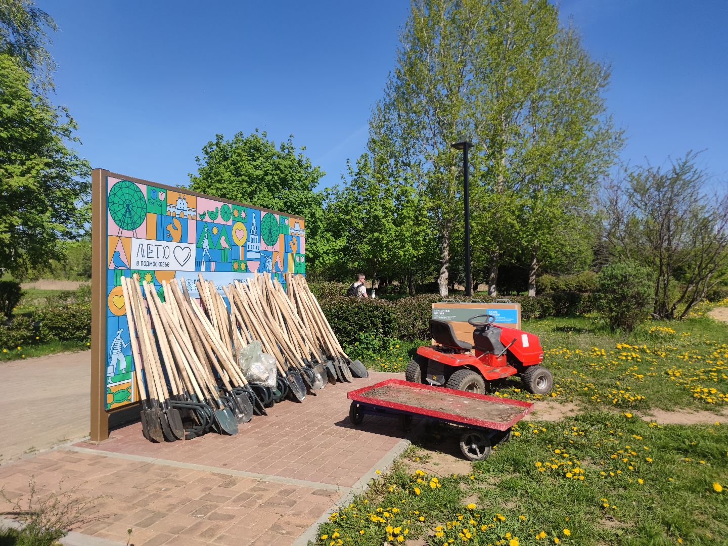 лес победы, акция, Дубна