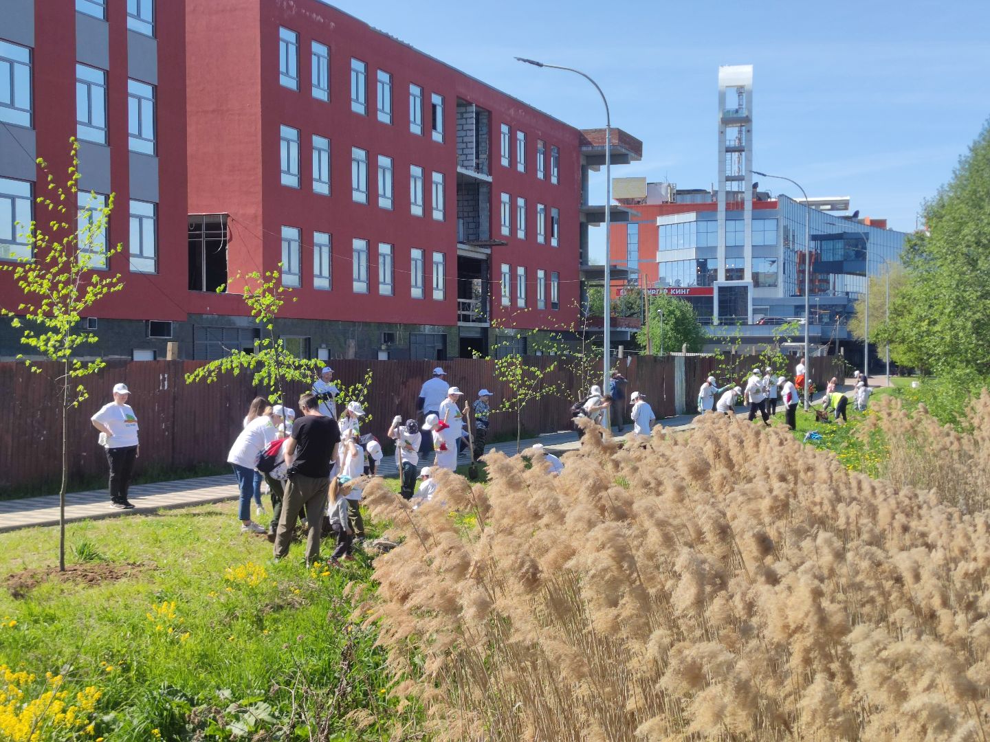 лес победы, акция, Дубна