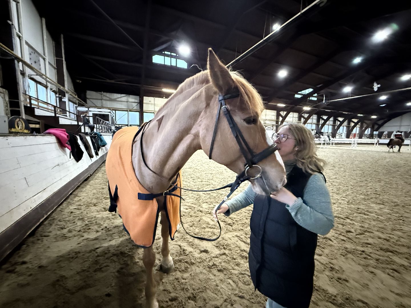 Котельники, Конный спорт, Лошади , Уход , Зима,