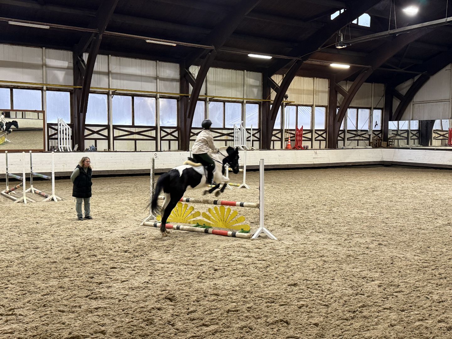 Котельники, Конный спорт, Лошади , Уход , Зима,