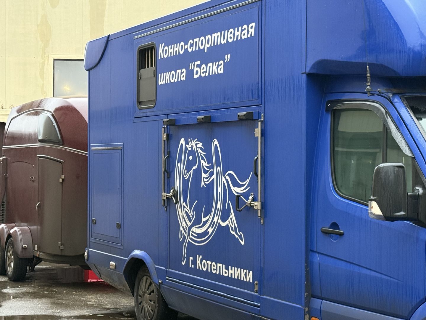 Котельники, Конный спорт, Лошади , Уход , Зима,