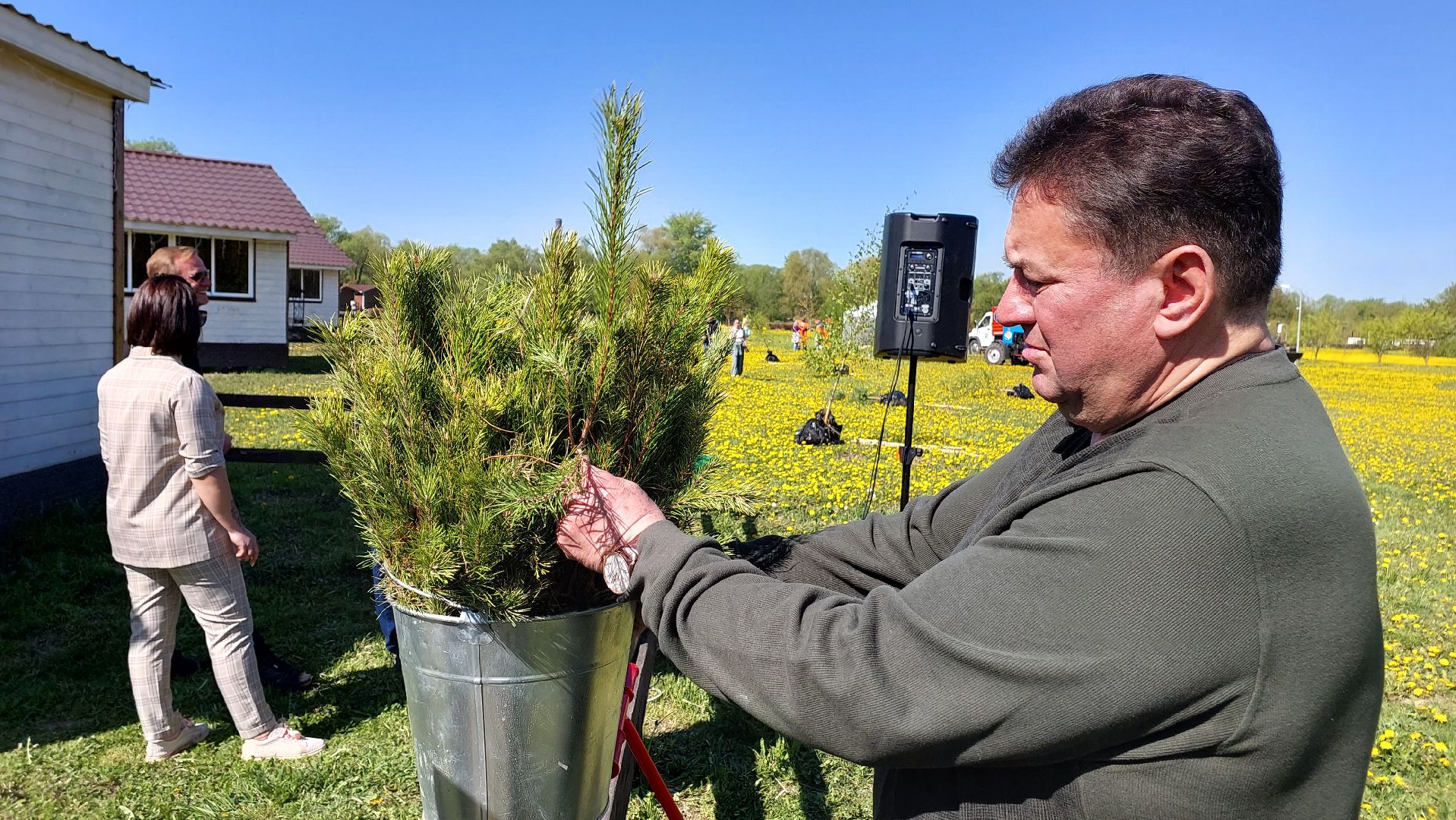 лес победы, день победы, русский лес, саженцы, серпухов, вов,