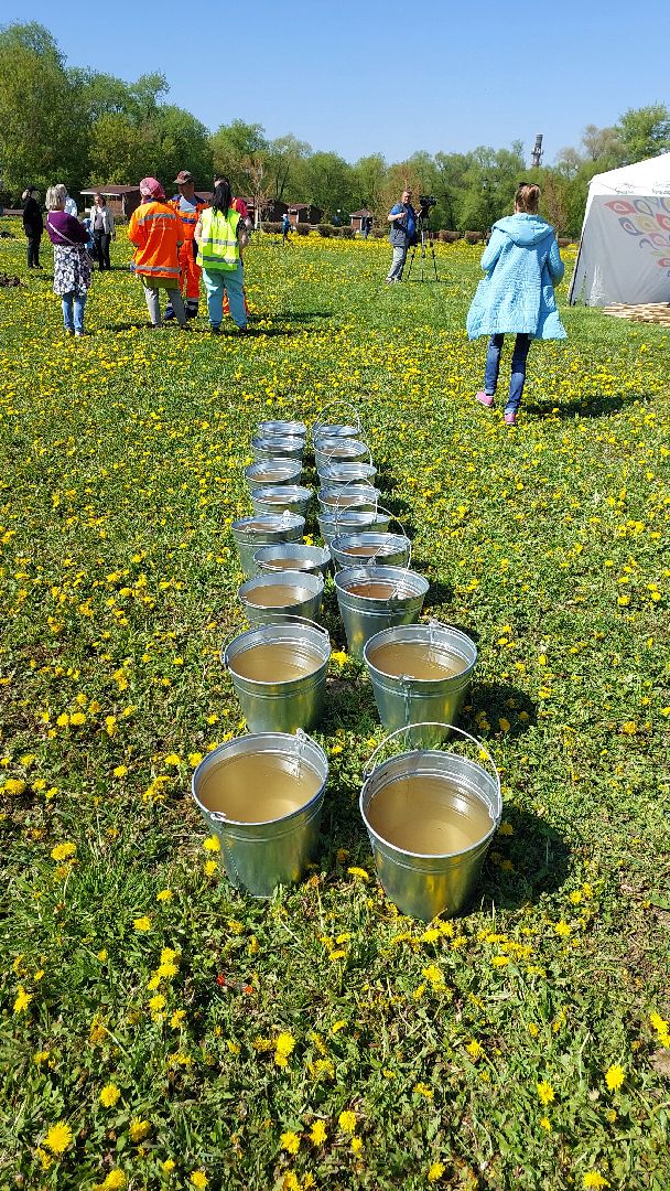 лес победы, день победы, русский лес, саженцы, серпухов, вов,