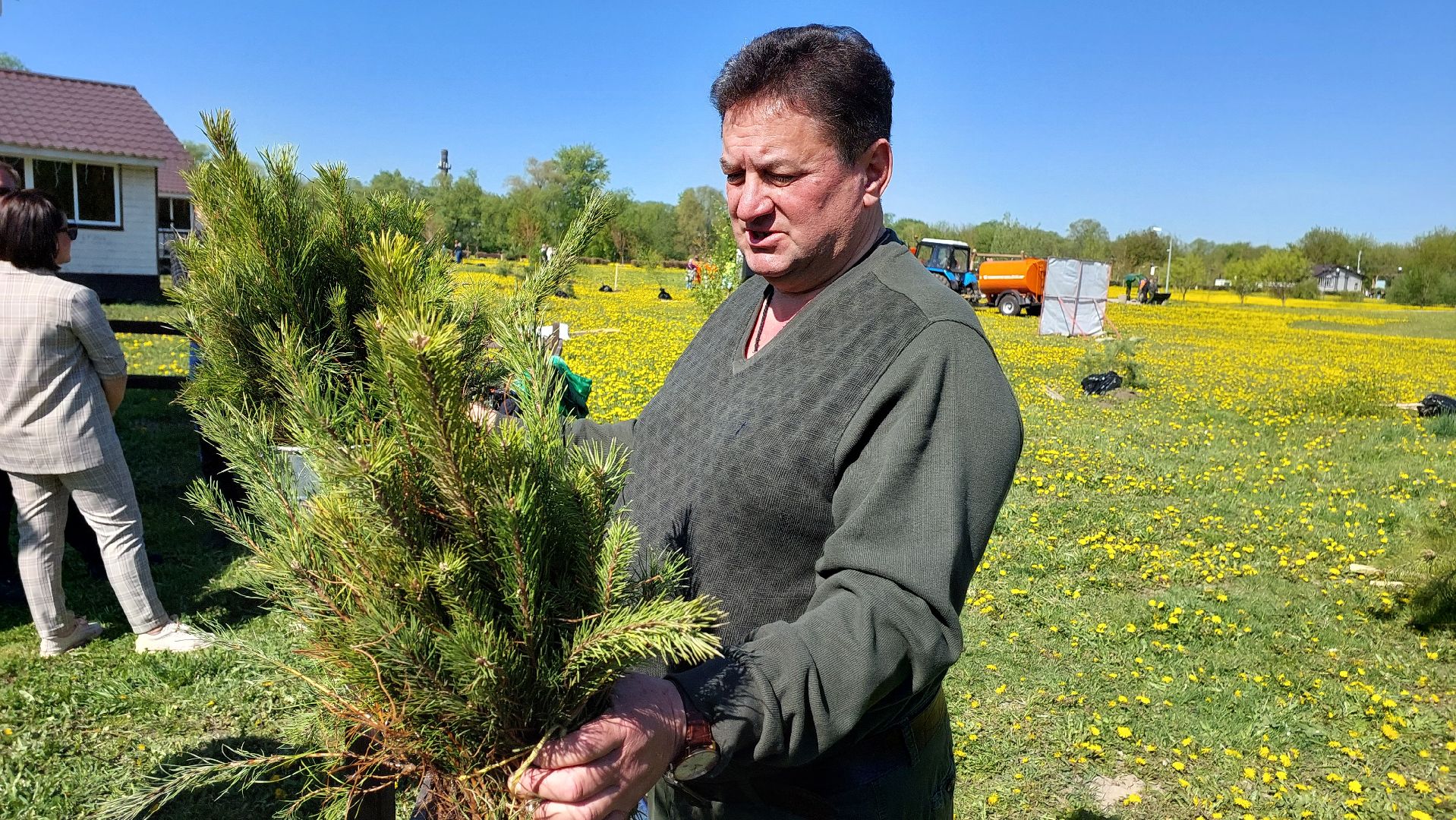 лес победы, день победы, русский лес, саженцы, серпухов, вов,