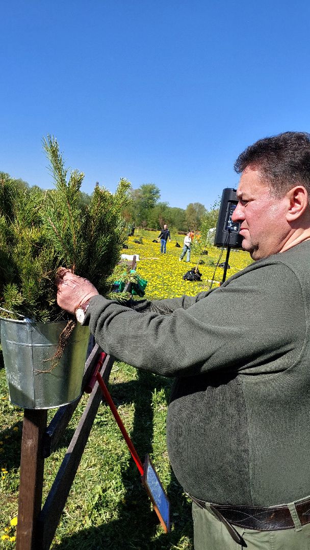 лес победы, день победы, русский лес, саженцы, серпухов, вов,