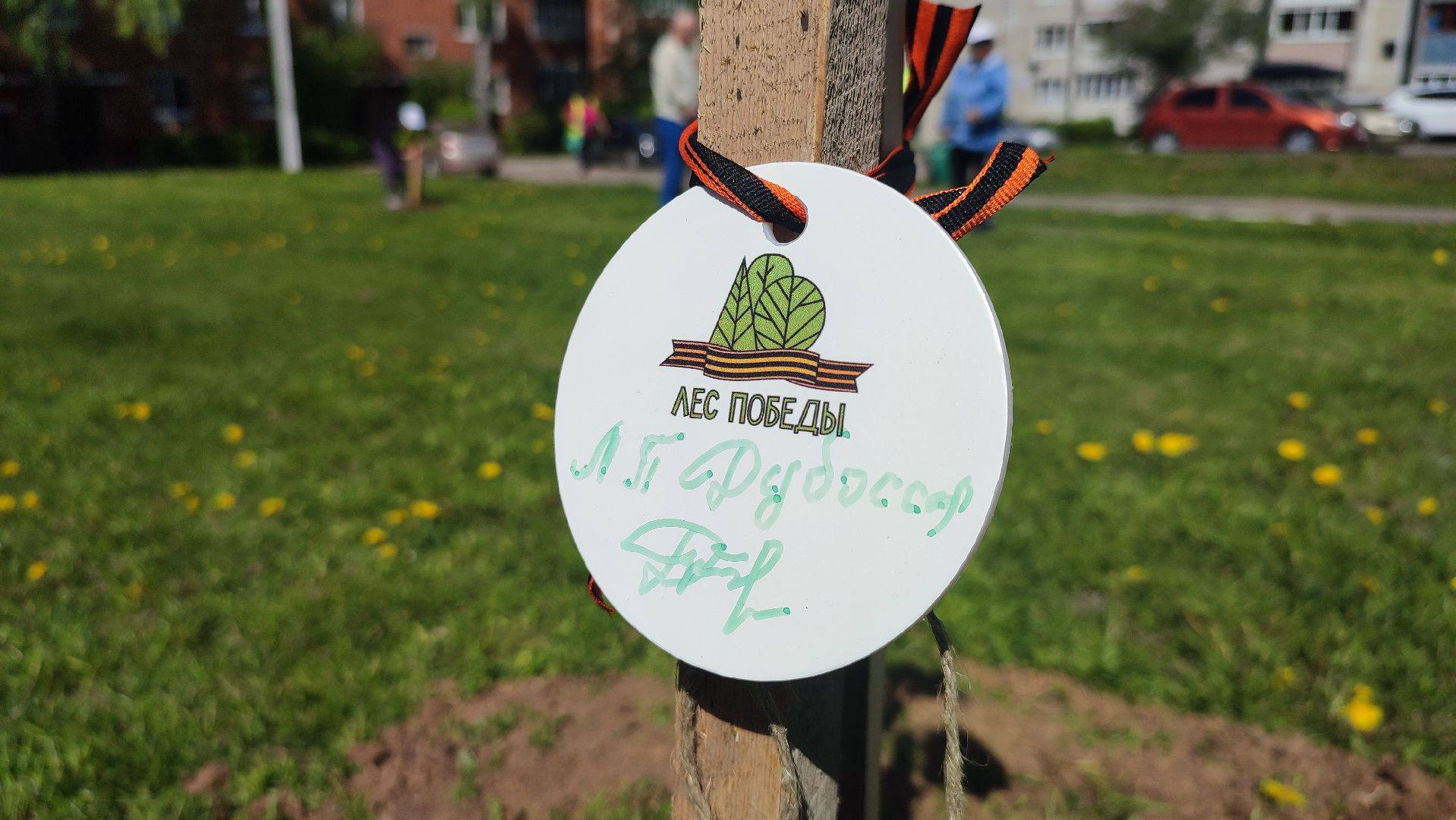 Кашира, ветераны, лес победы, каштан, спирея, экологическая акция