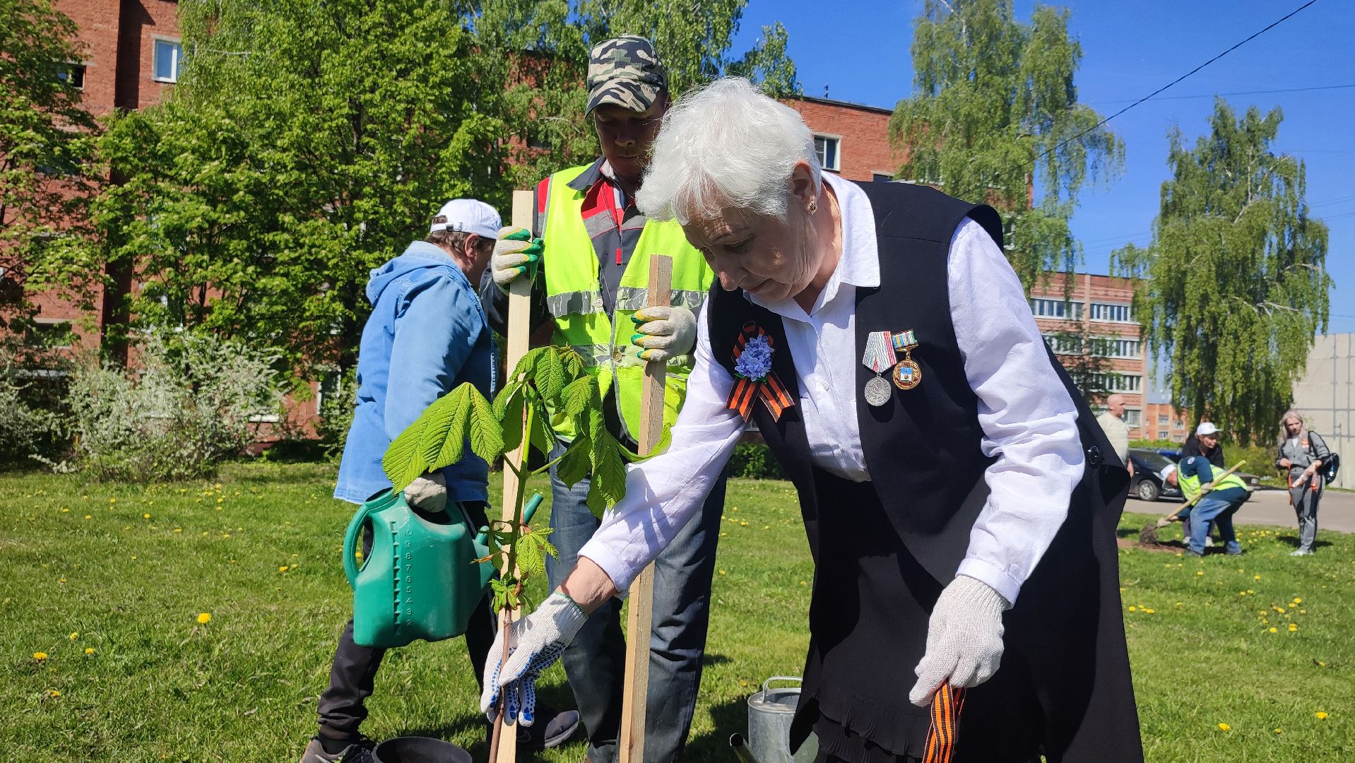 Кашира, ветераны, лес победы, каштан, спирея, экологическая акция